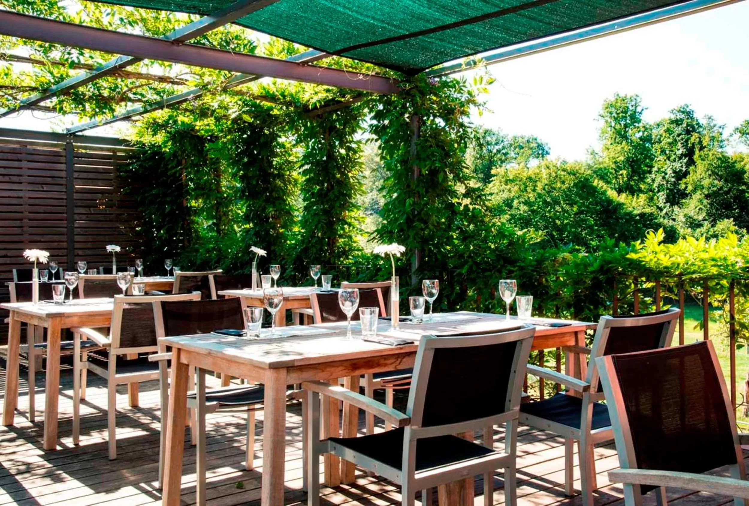 Balcony/Terrace in Hotel Simon's Plaza