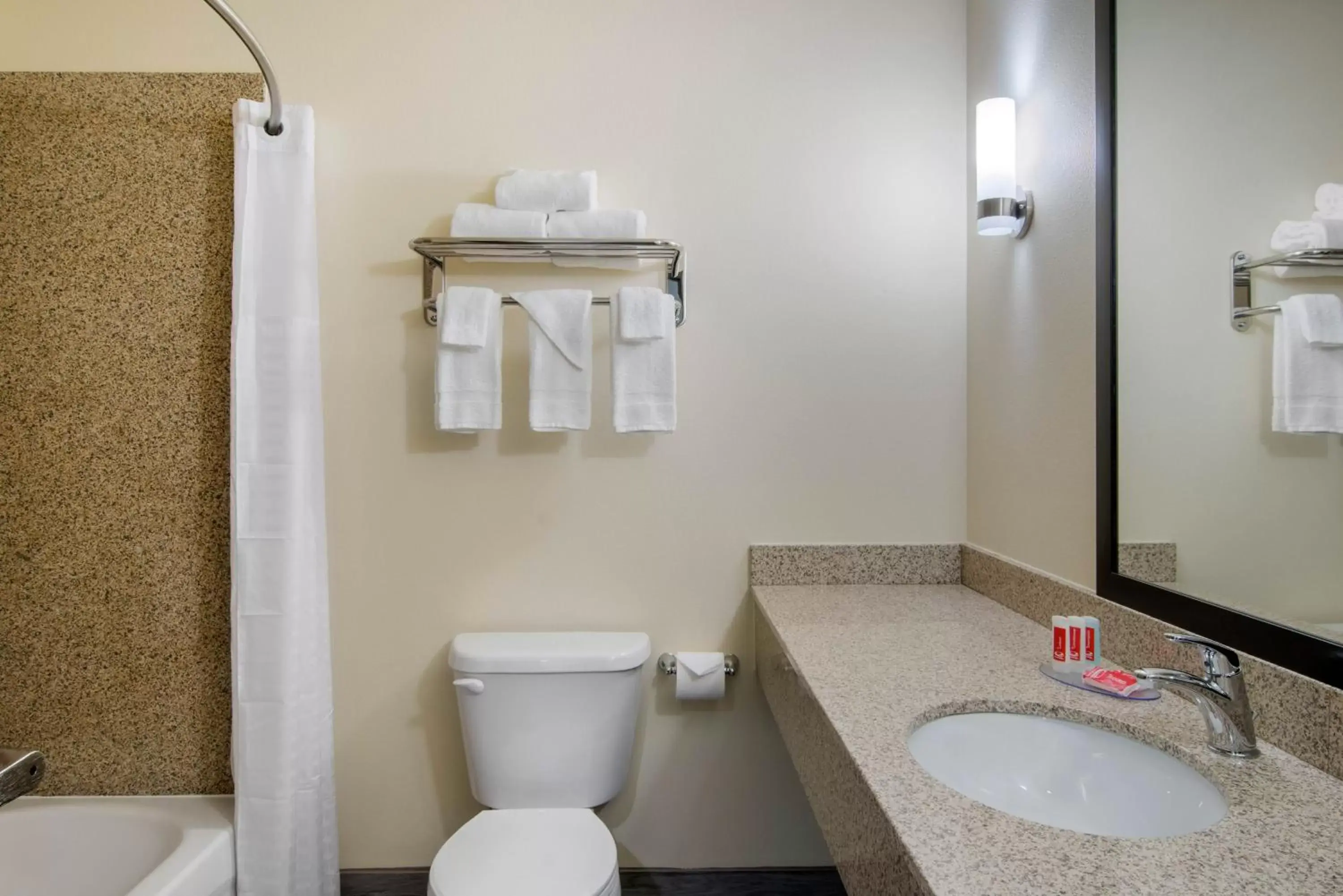 Bathroom in Econo Lodge Inn & Suites