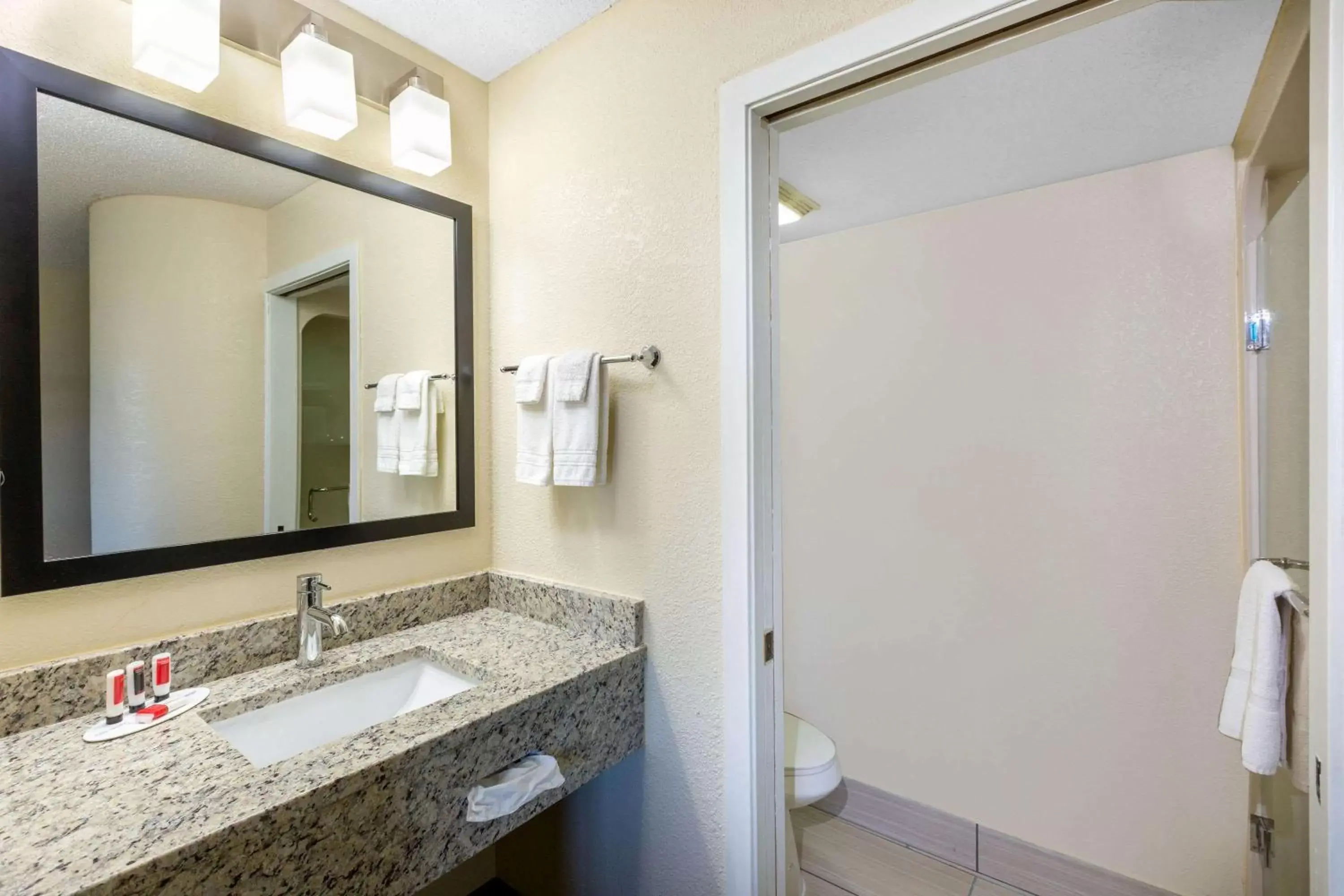 Bathroom in Baymont Inn & Suites by Wyndham Mukwonago