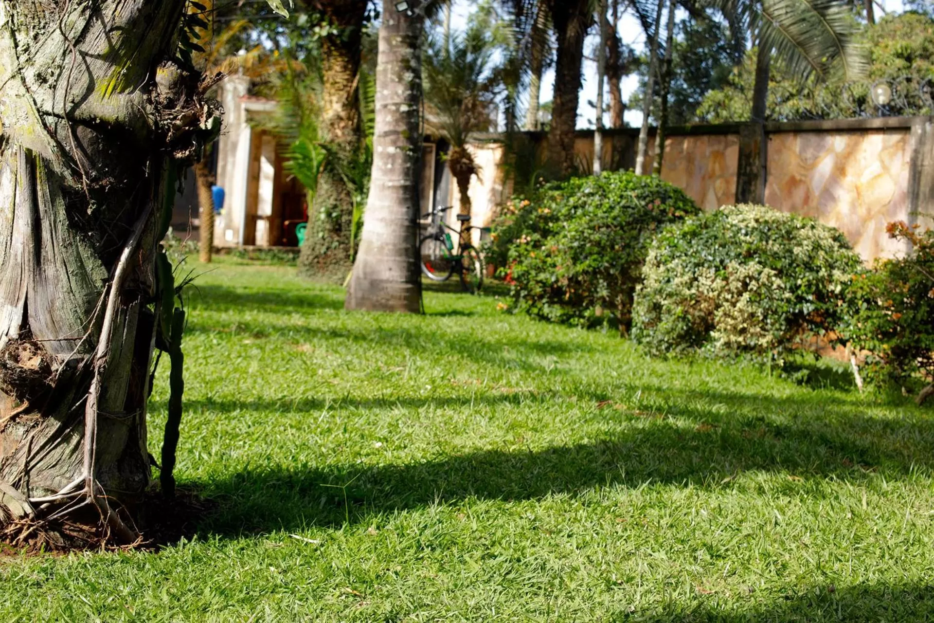 Day, Garden in Entebbe Palm Hotel