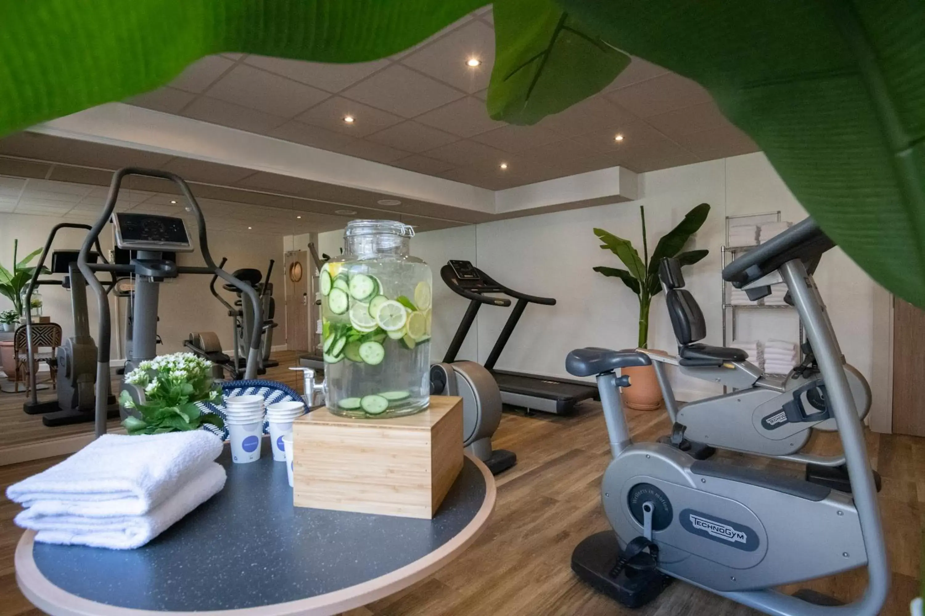 Fitness centre/facilities, Fitness Center/Facilities in Novotel Suites Nice Airport