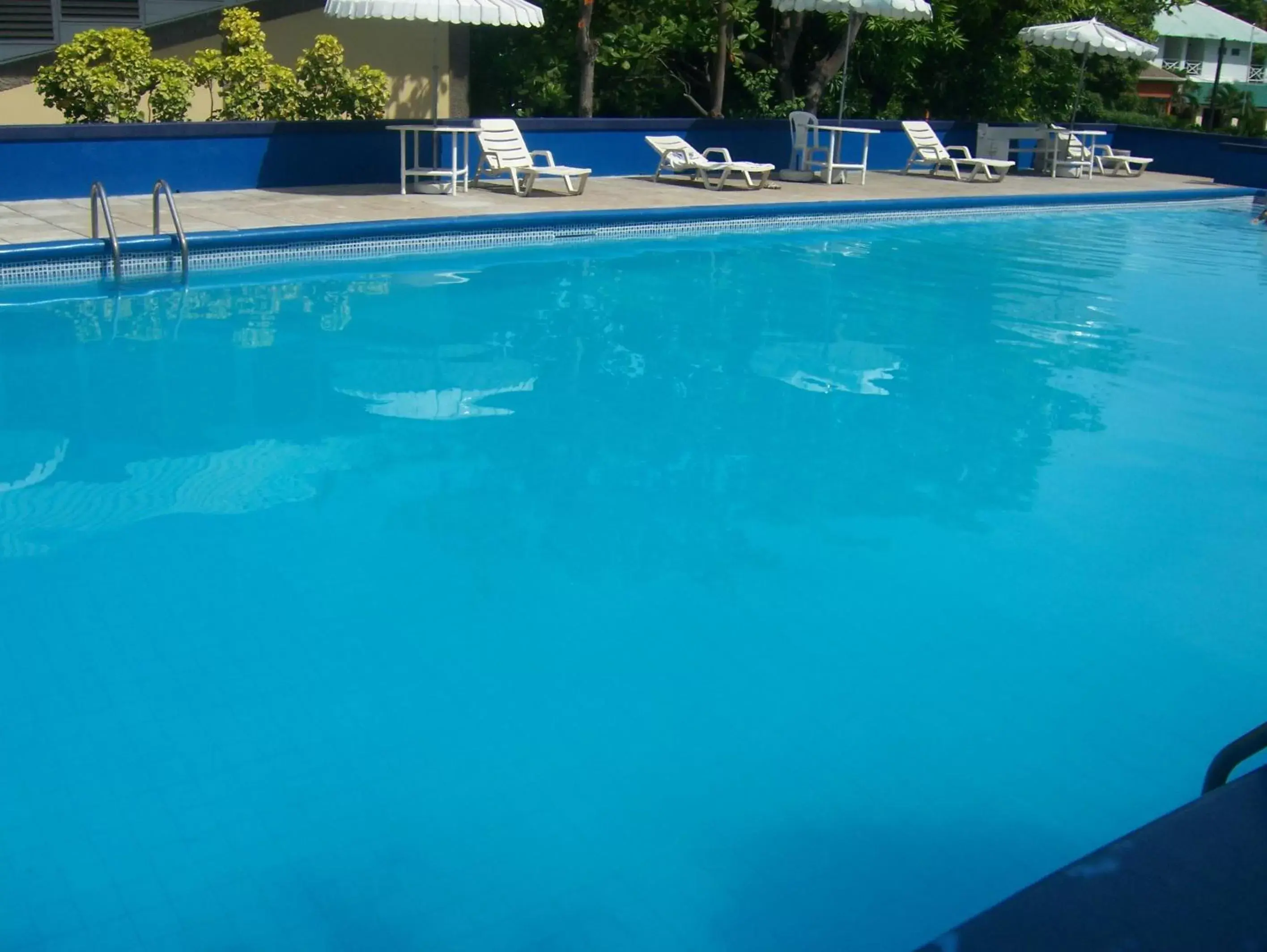 Swimming Pool in The Liguanea Club