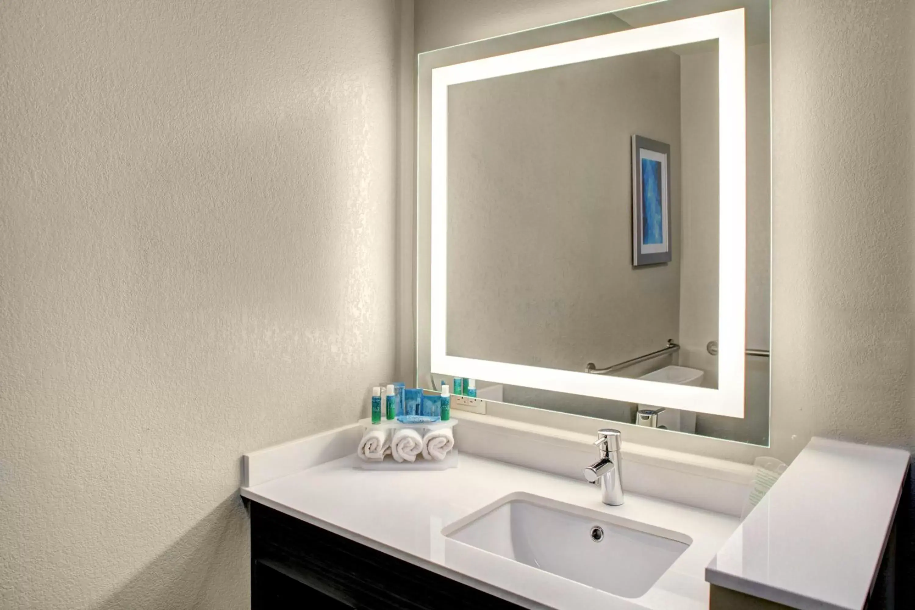 Bathroom in Holiday Inn Express & Suites Coldwater, an IHG Hotel