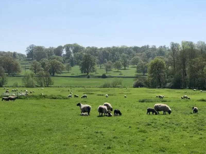 View (from property/room) in Clare Cottage View (from property/room) in Clare Cottage