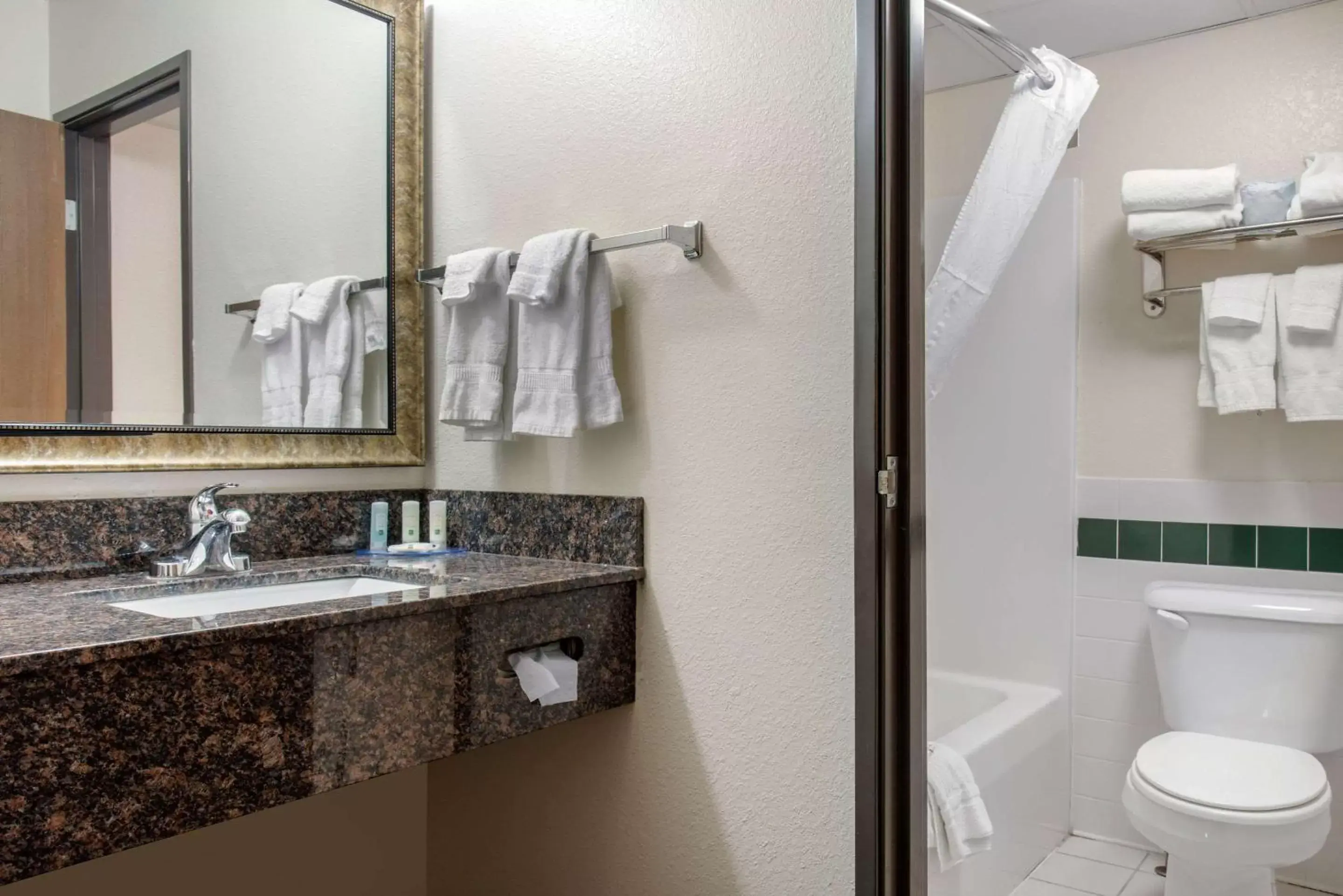 Bathroom in Quality Inn near Medical Center