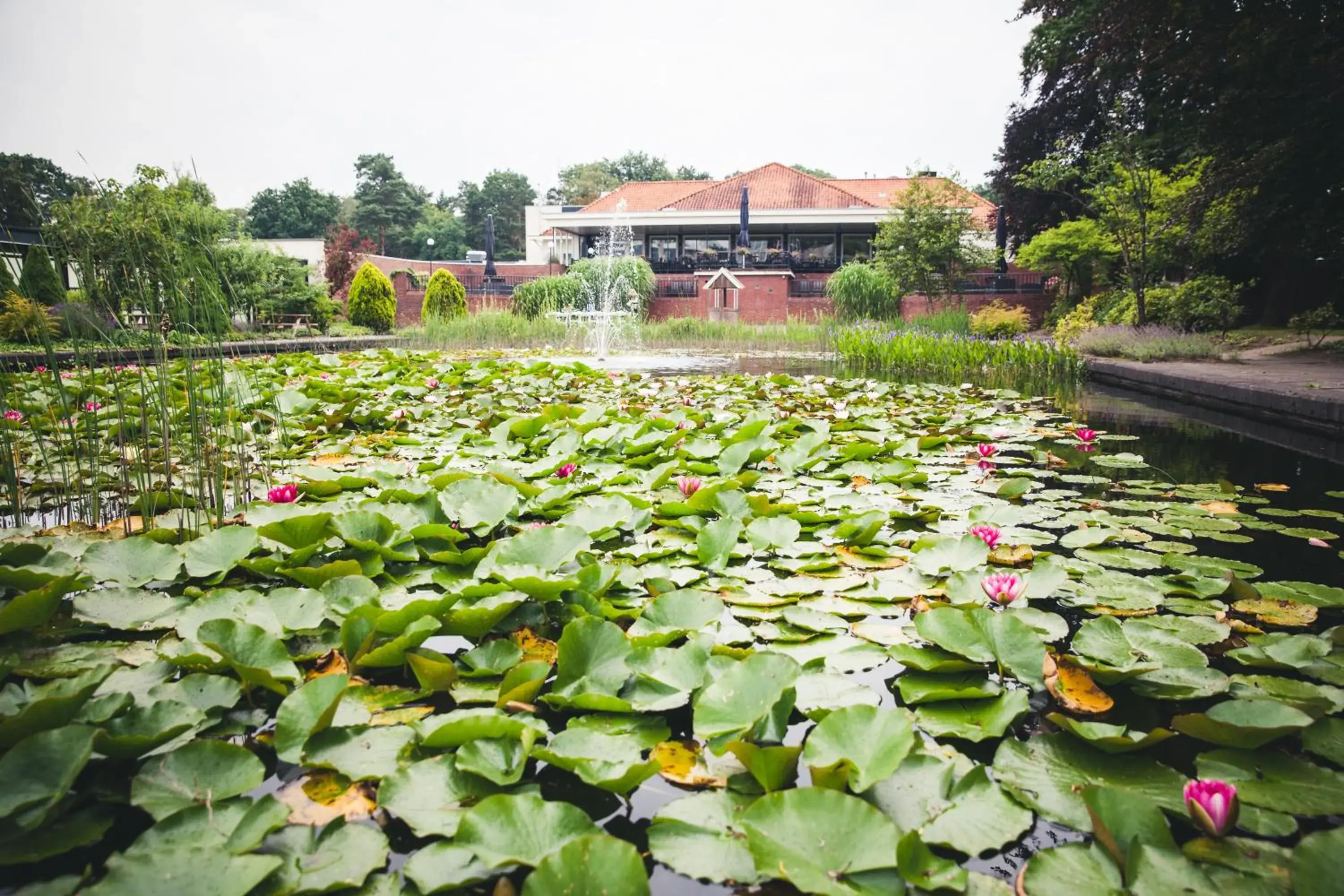 Natural landscape in Resort Bad Boekelo