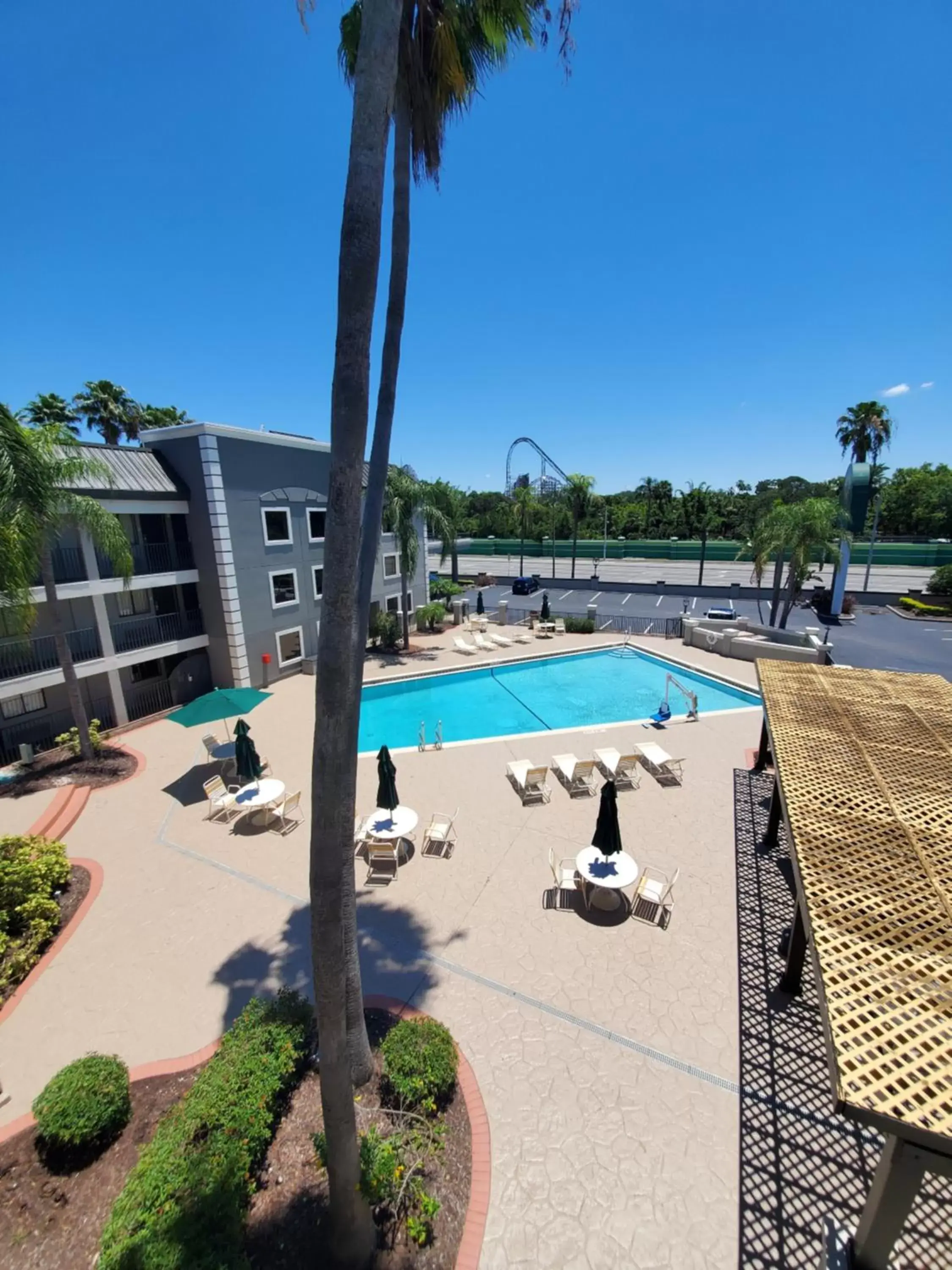 Swimming Pool in La Quinta Inn by Wyndham Tampa Near Busch Gardens