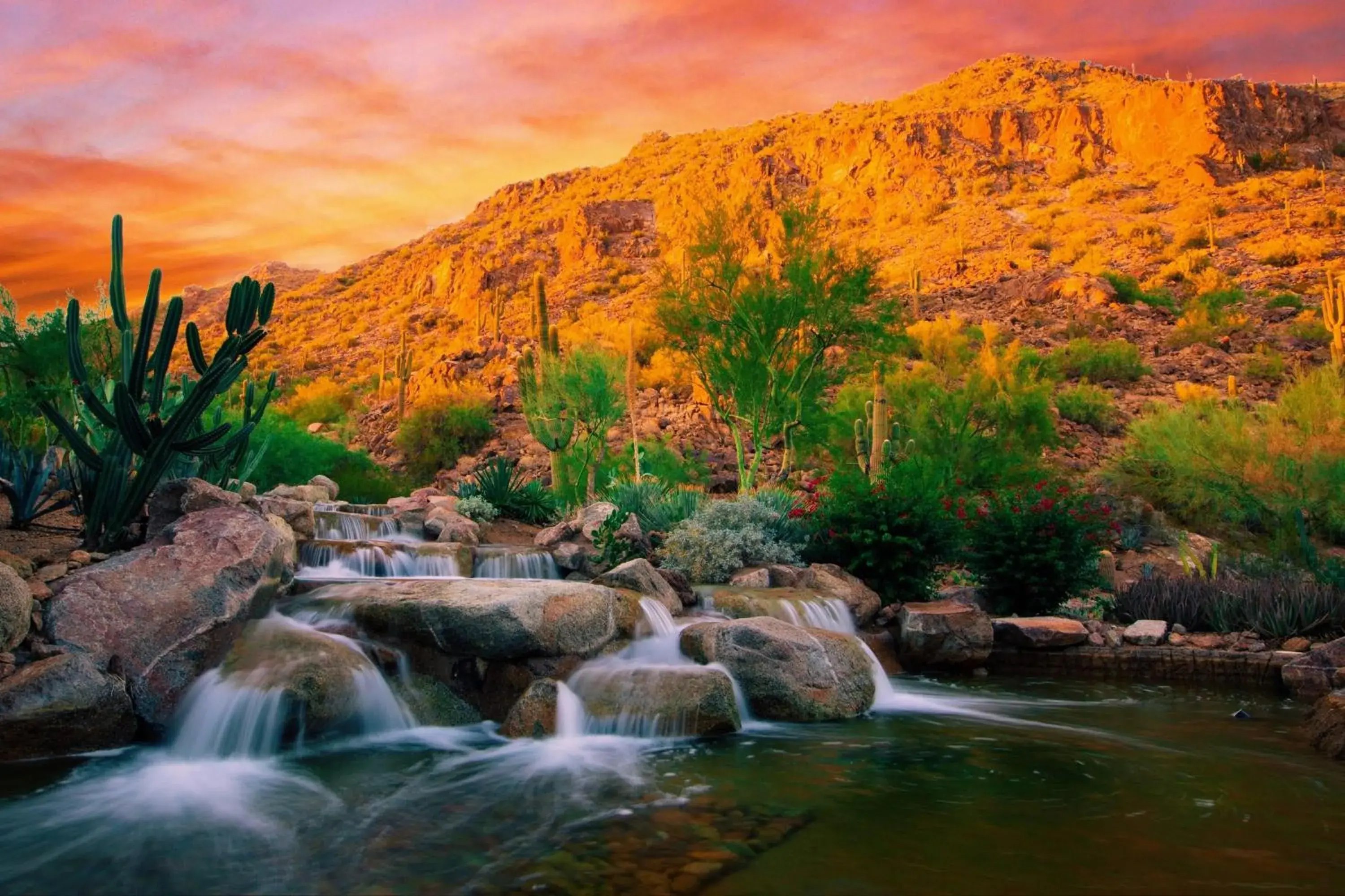 Property building, Natural Landscape in The Canyon Suites At The Phoenician, A Luxury Collection Resort