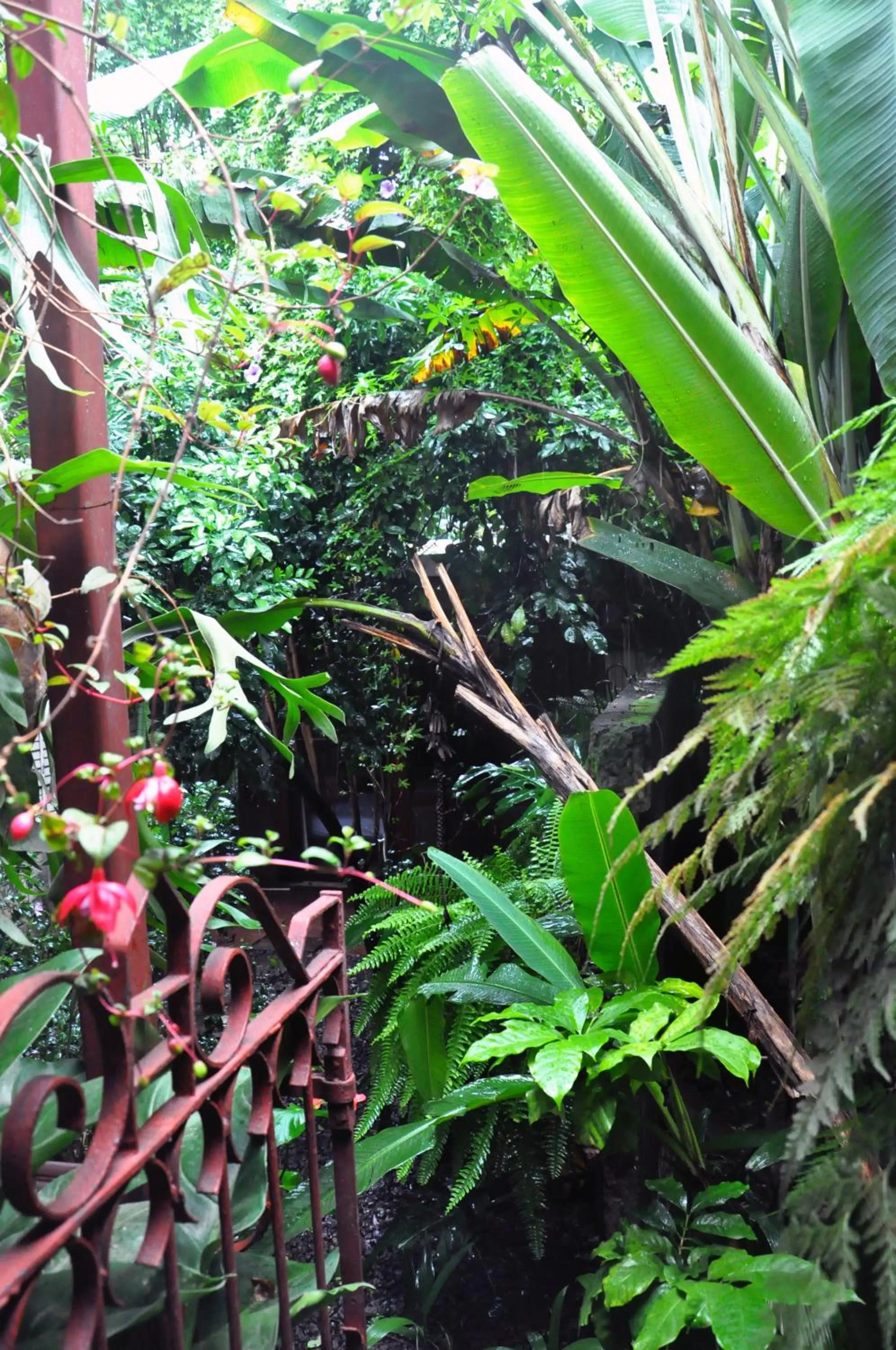 Natural landscape in Hotel Aranjuez