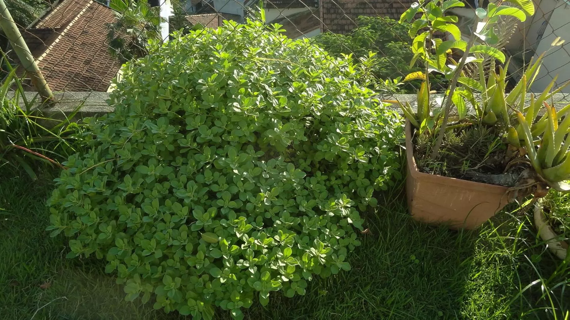 Day in Casa da Gente