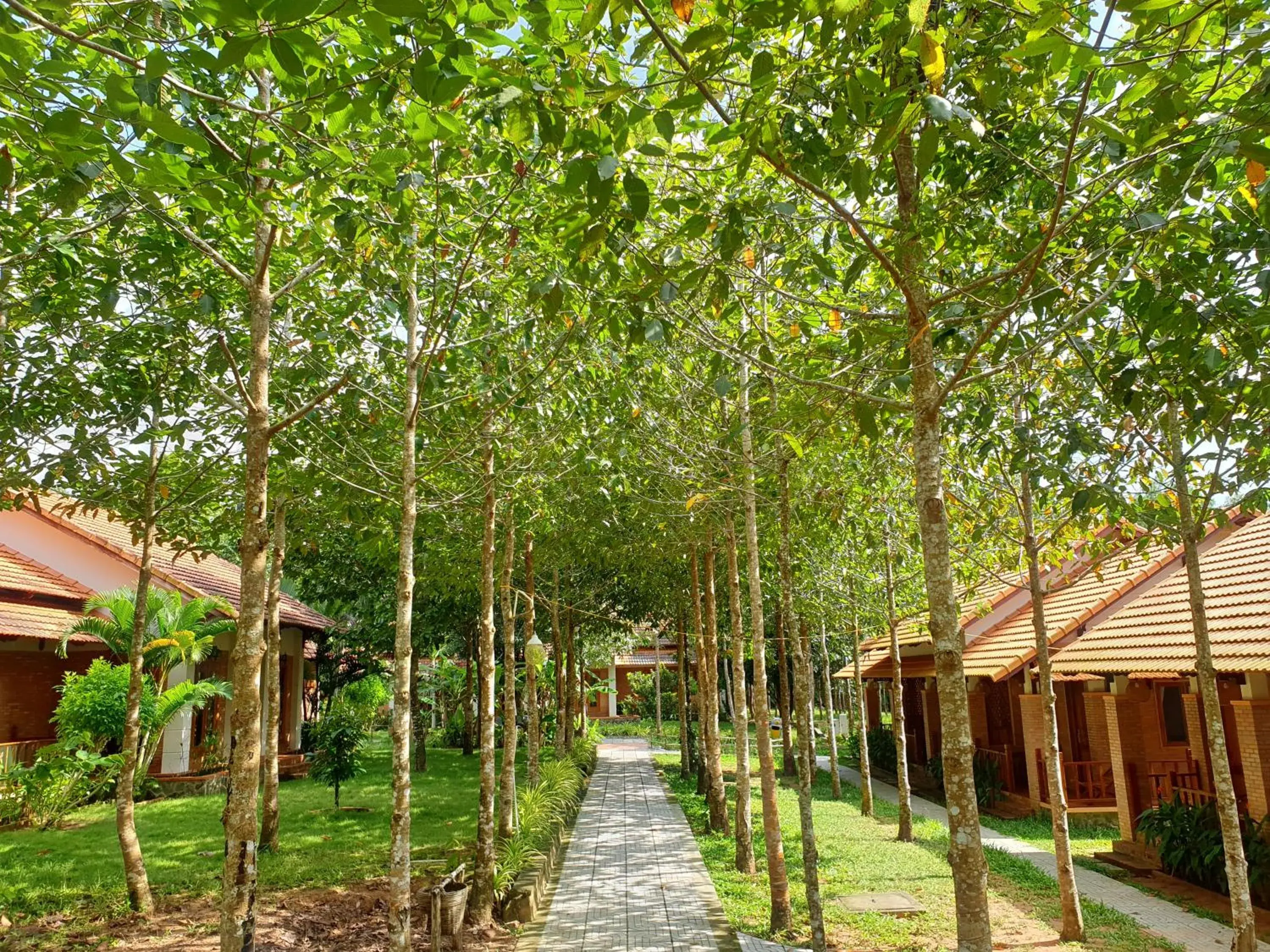 View (from property/room), Garden in The Garden House Phu Quoc Resort