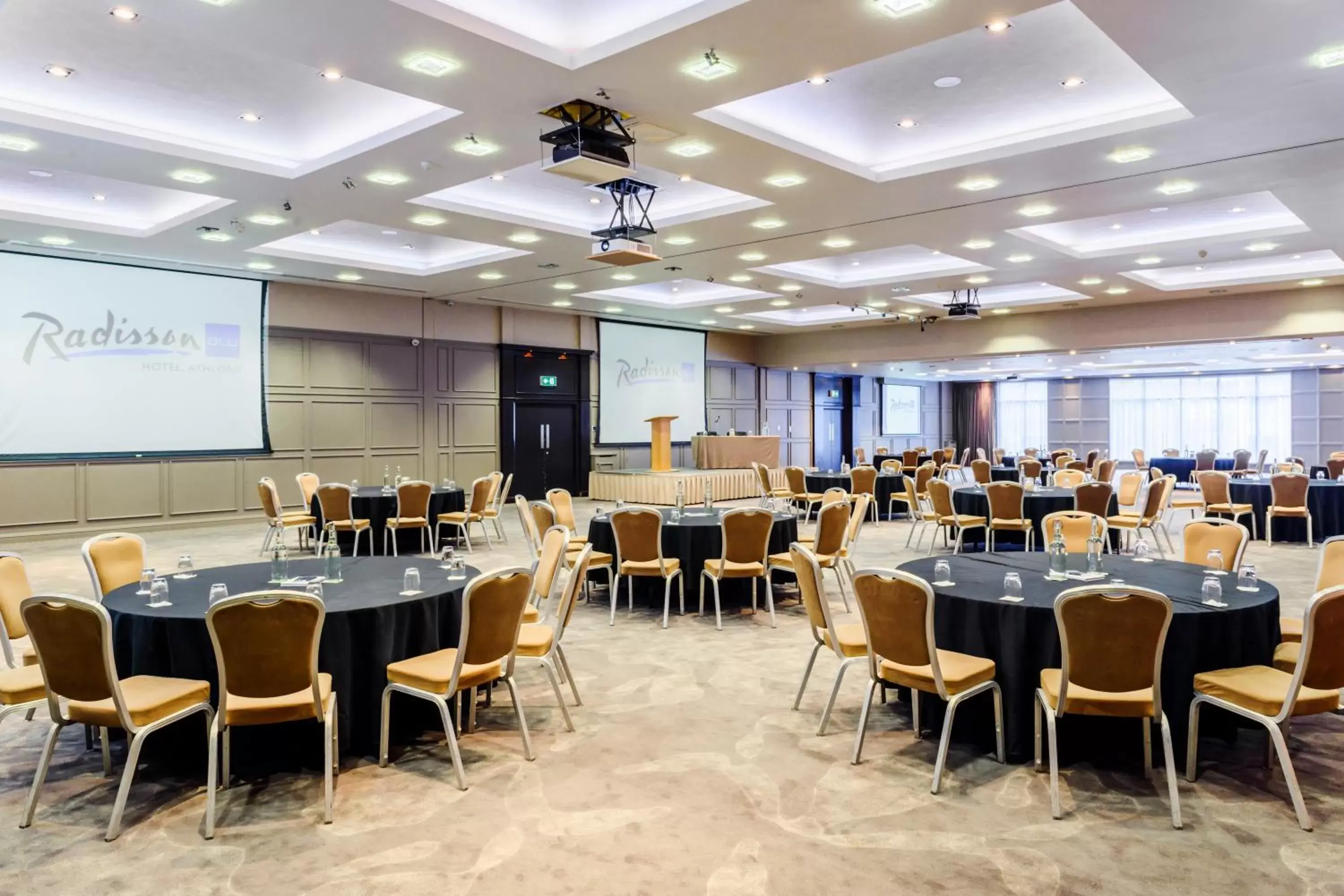 Meeting/conference room in Radisson Blu Hotel, Athlone