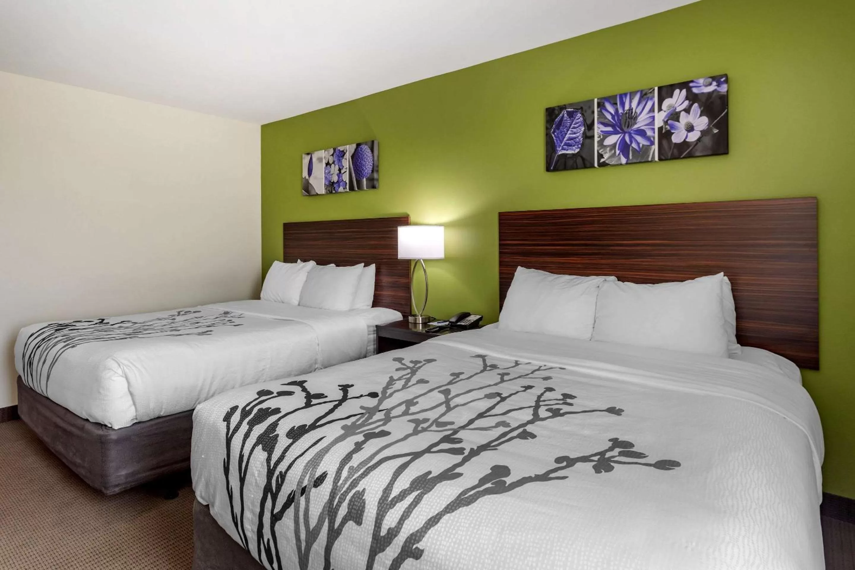 Photo of the whole room, Bed in Sleep Inn Bowling Green North