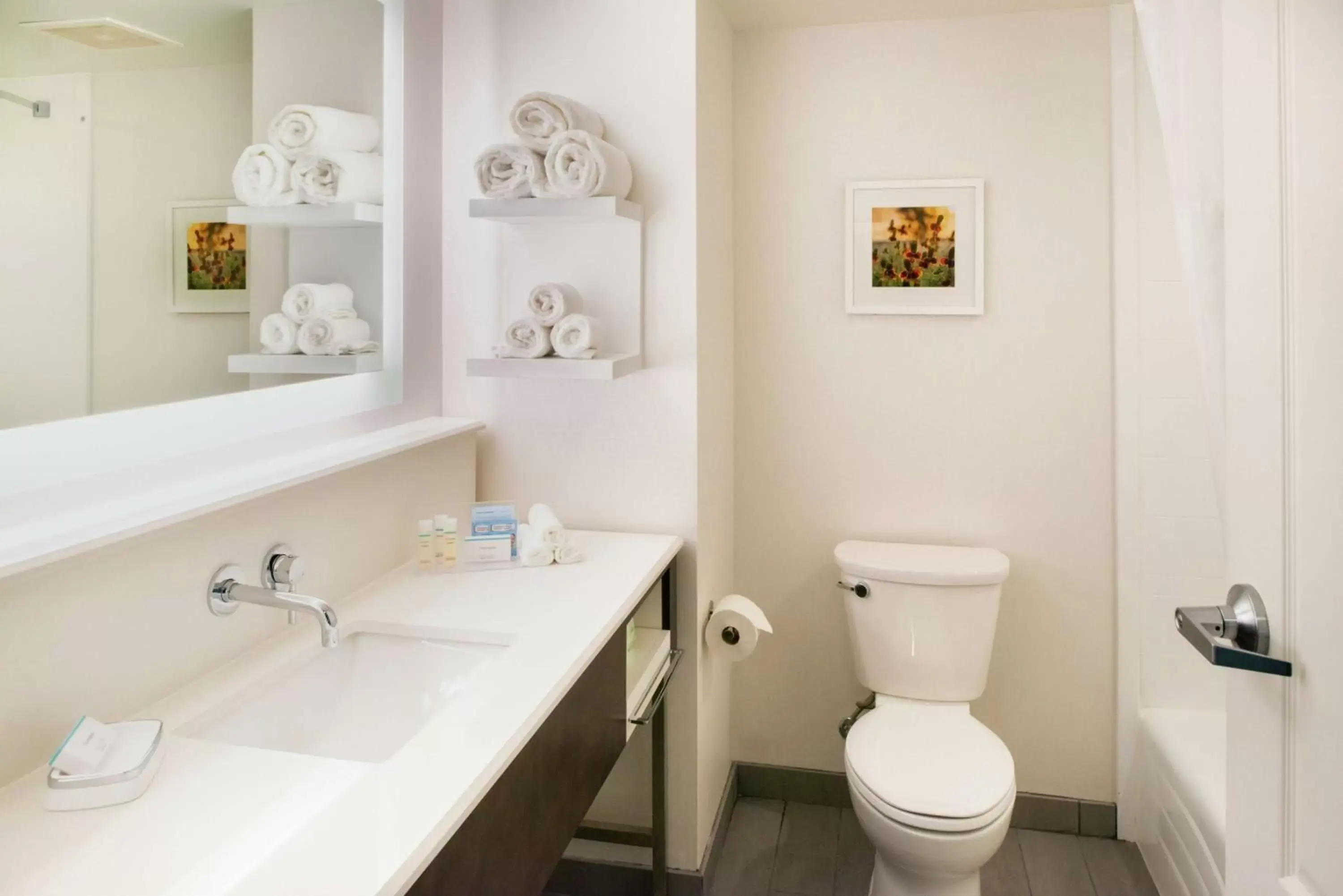 Bathroom in Hampton Inn & Suites Legacy Park-Frisco