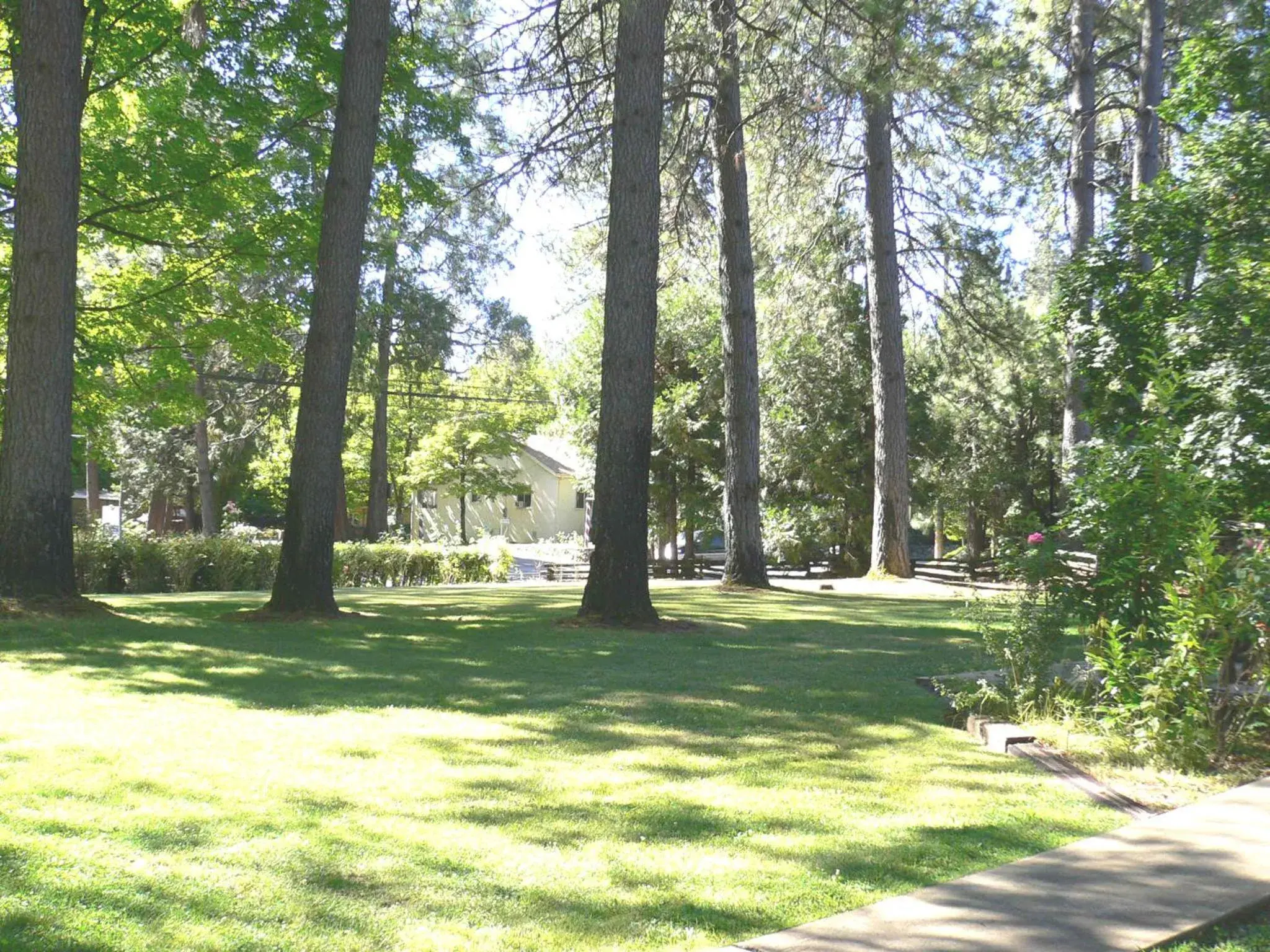 Garden in Nevada City Inn