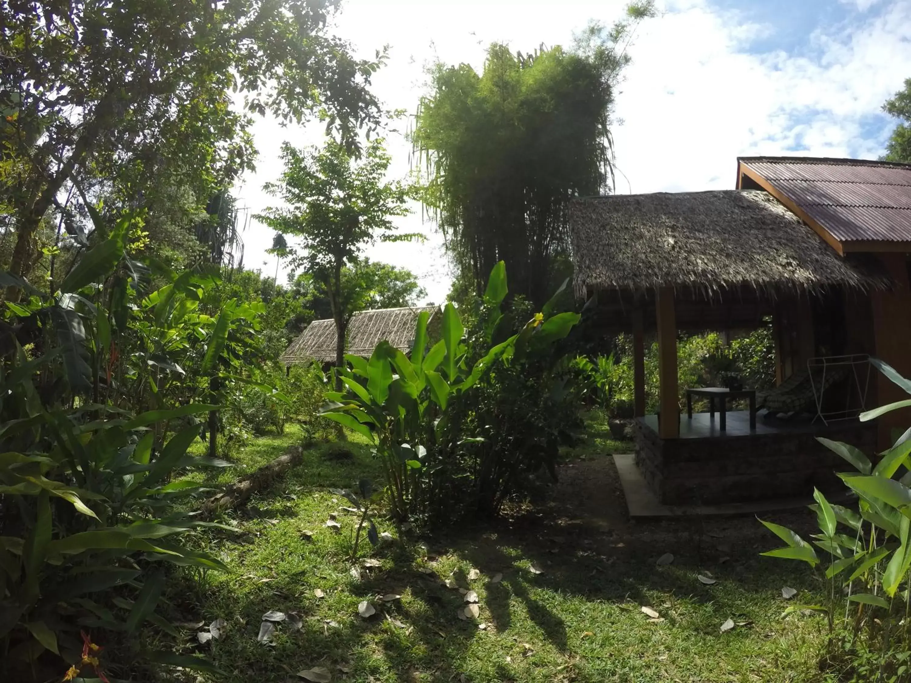 Garden view, Property Building in Khao Sok Morning Mist Resort