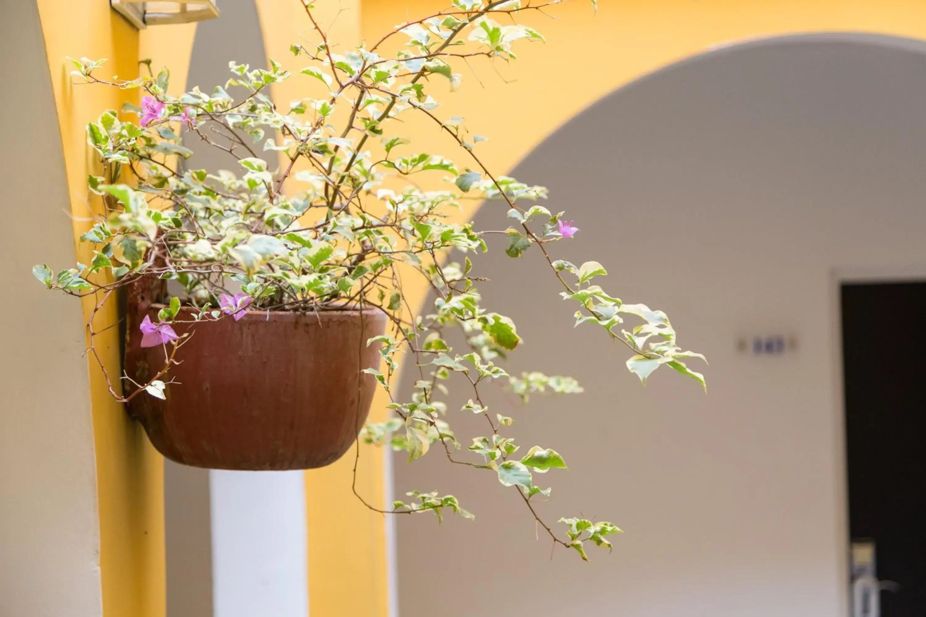 Decorative detail in San Martin Cartagena