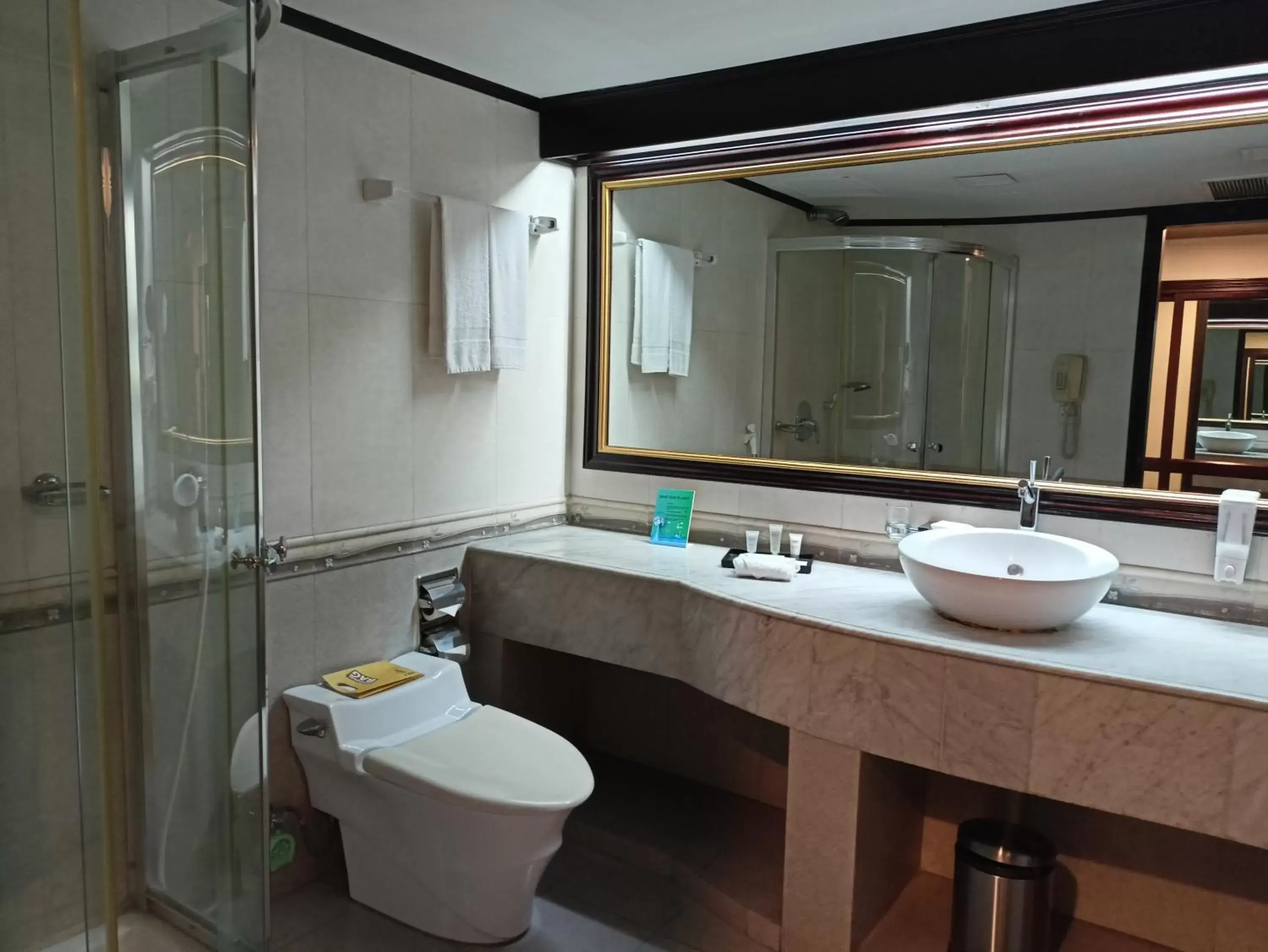 Bathroom in Hotel Sarina