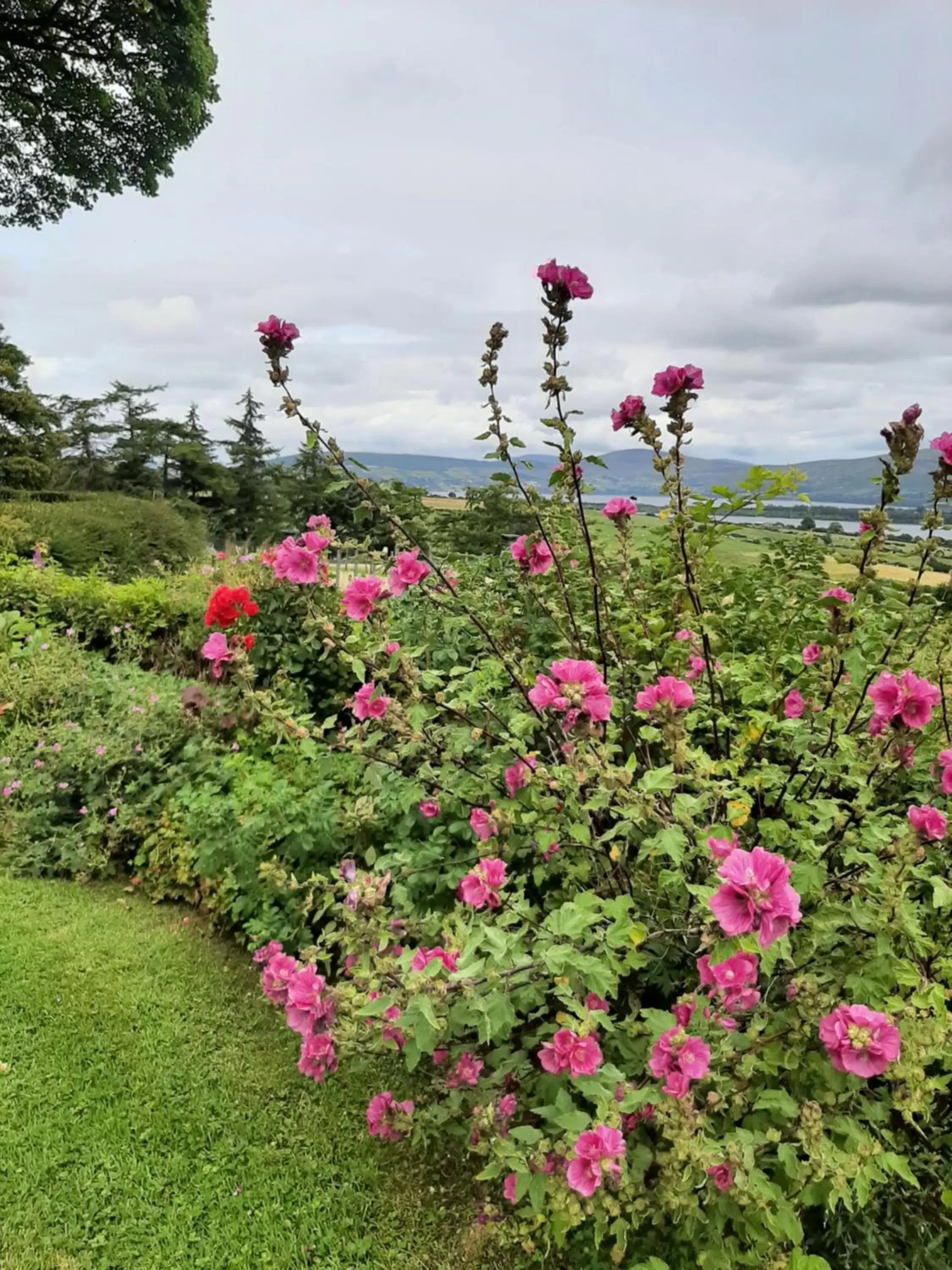 Garden in Abhainn Ri Farmhouse