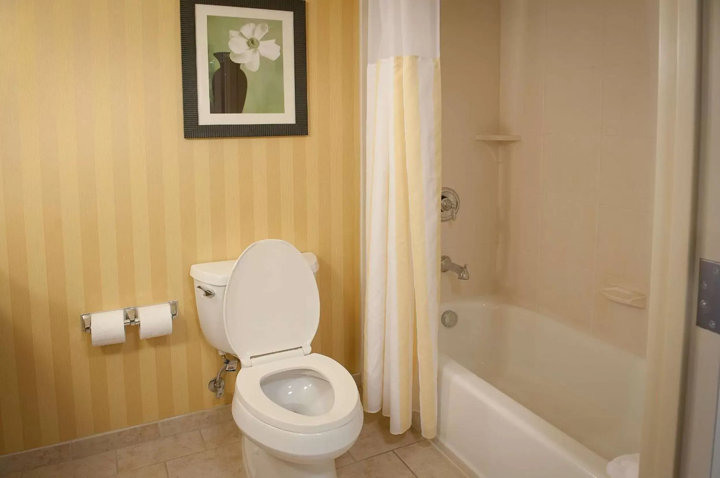 Bathroom in Hilton Garden Inn Pensacola Airport/Medical Center