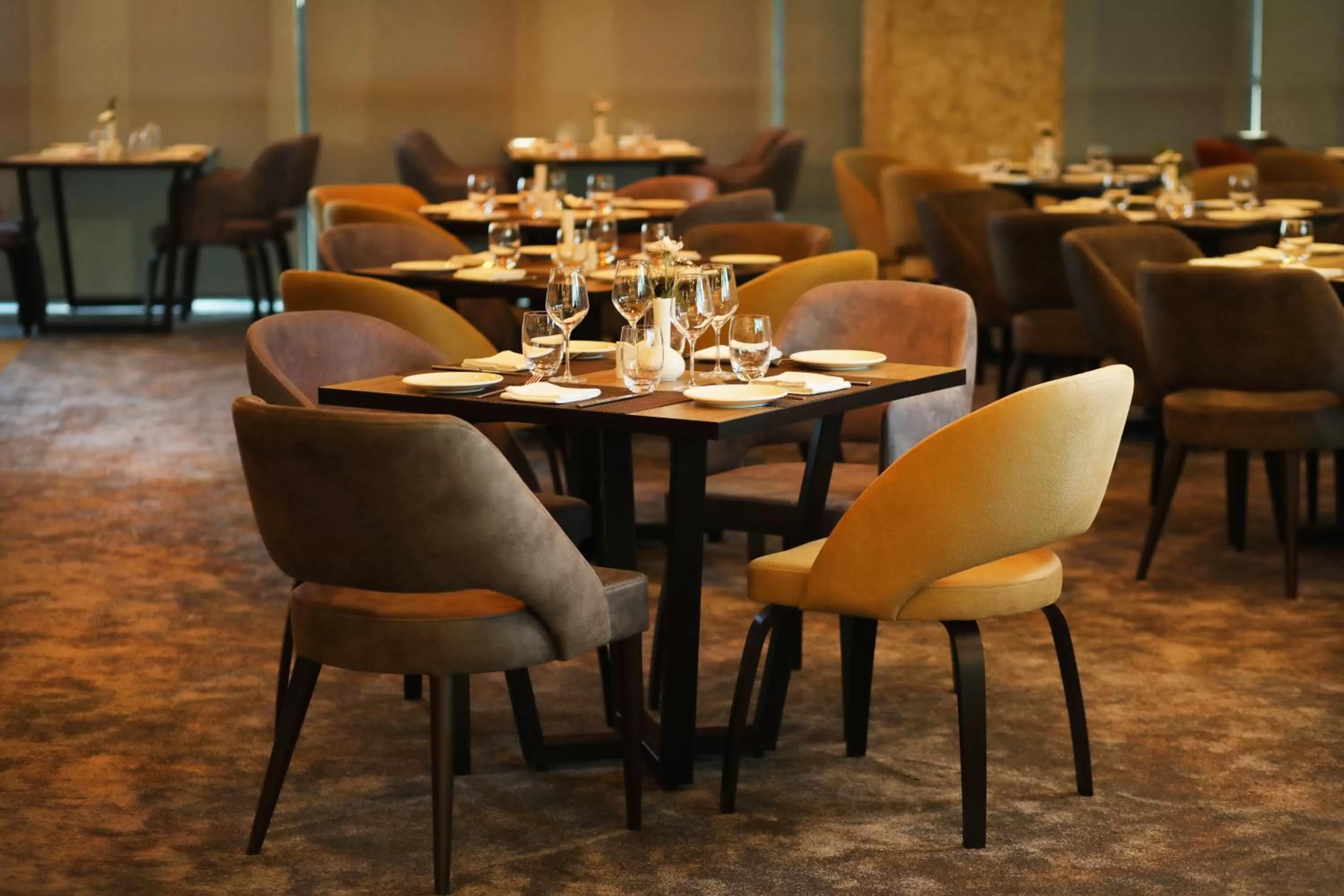 Restaurant/places to eat in Mercure Tetovo