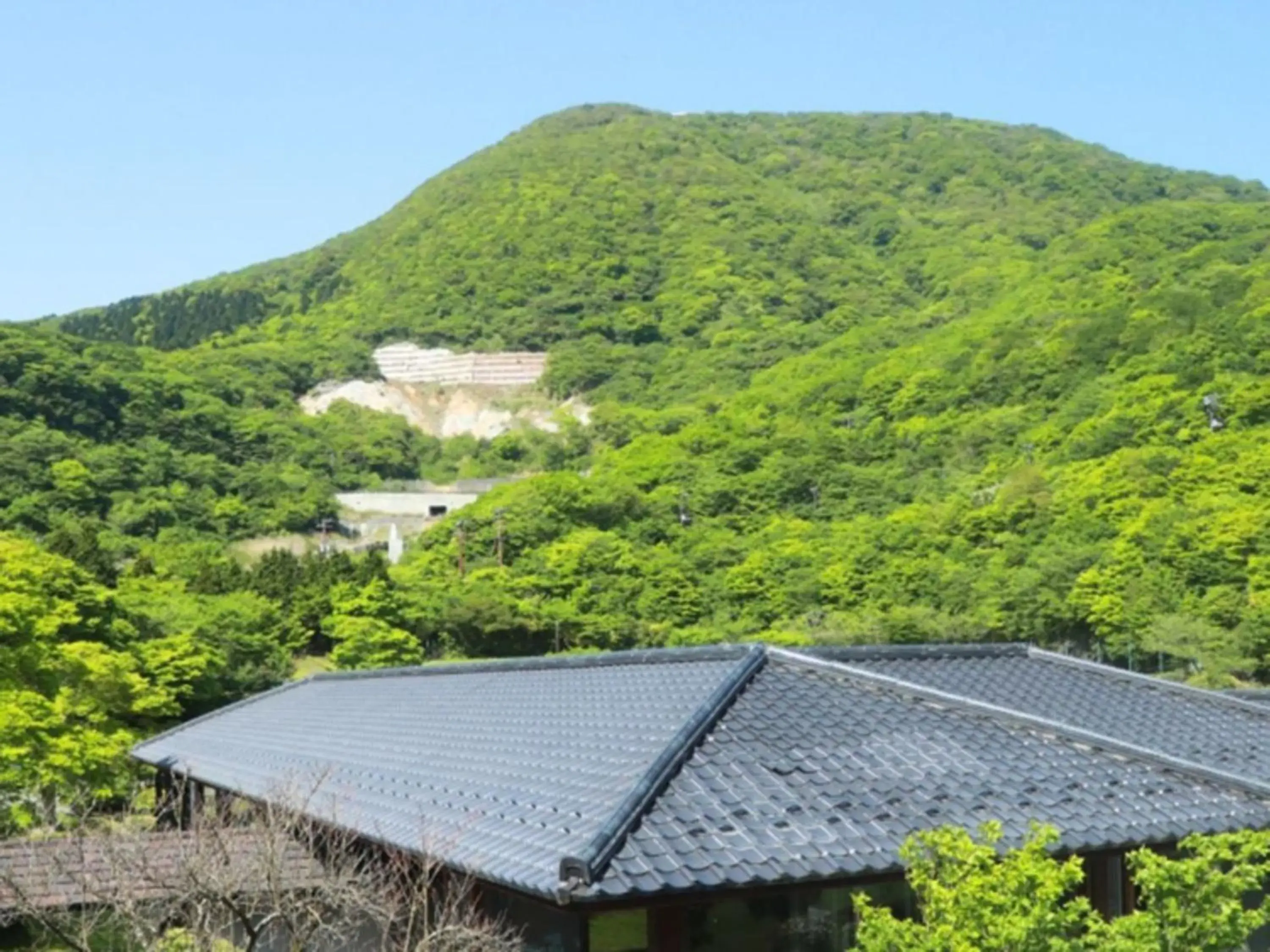 Mountain View in Hakone Yunohana Prince Hotel