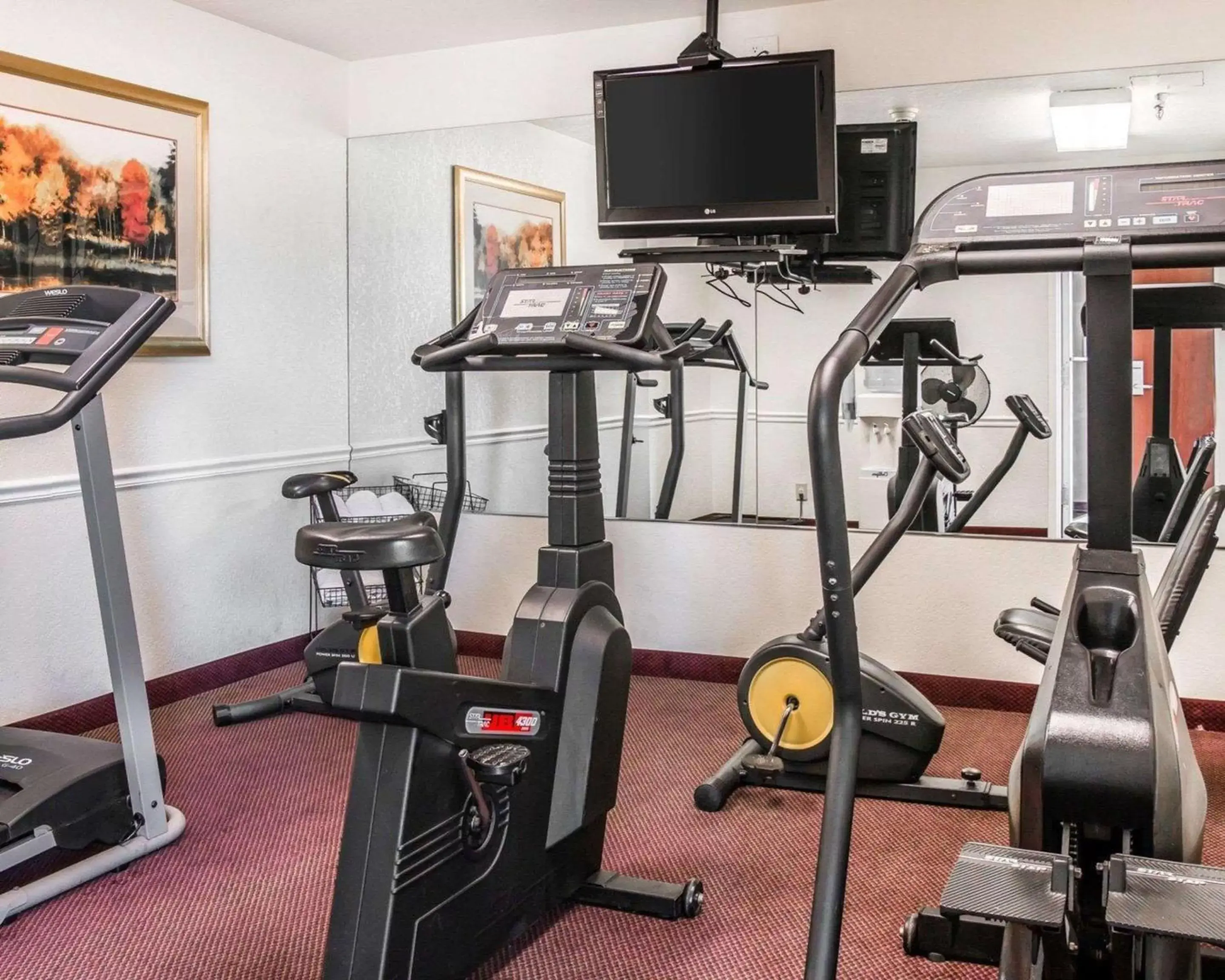 Fitness centre/facilities, Fitness Center/Facilities in Quality Inn Holland