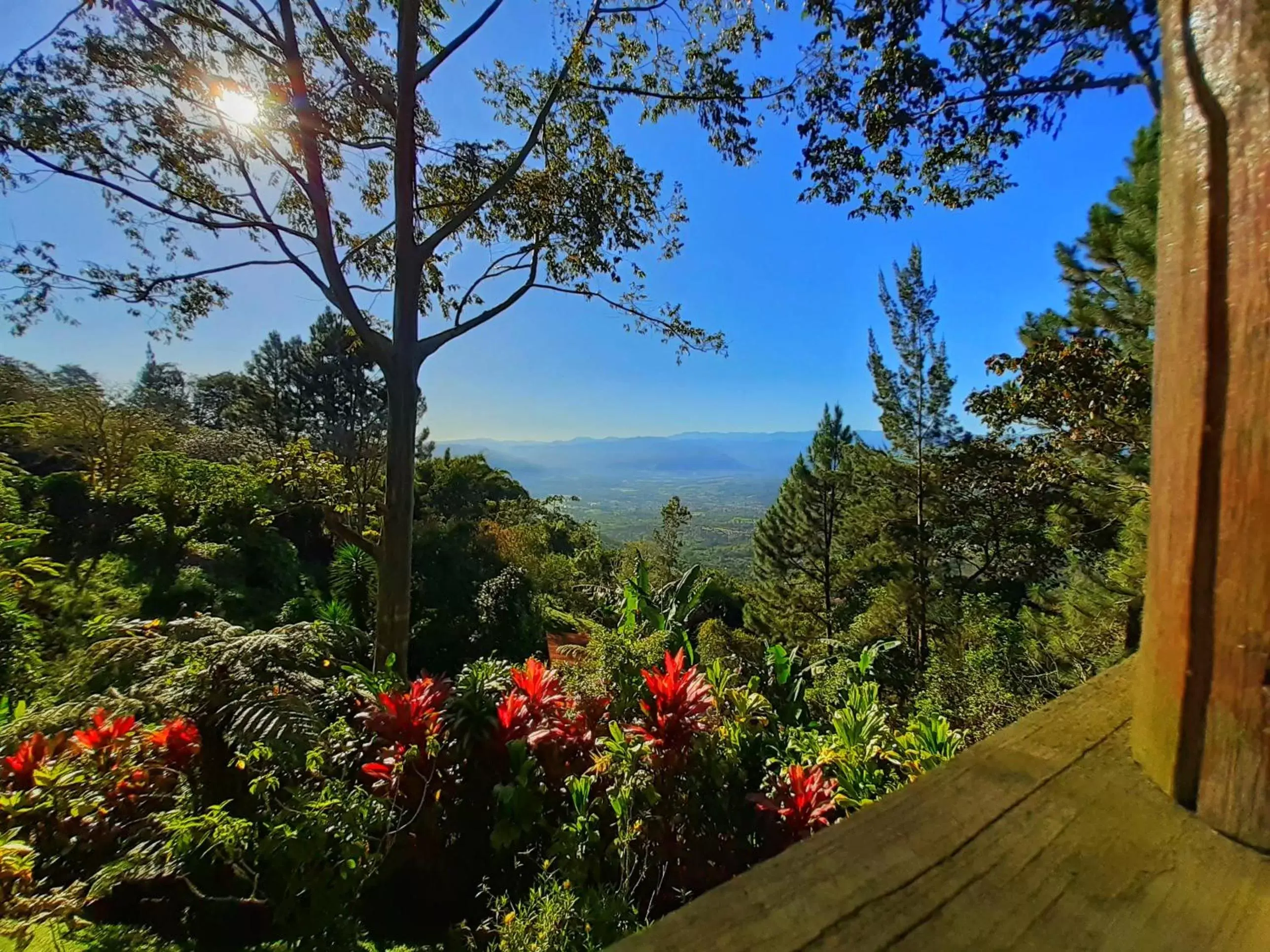 Natural landscape in Vista Turrialba Lodge