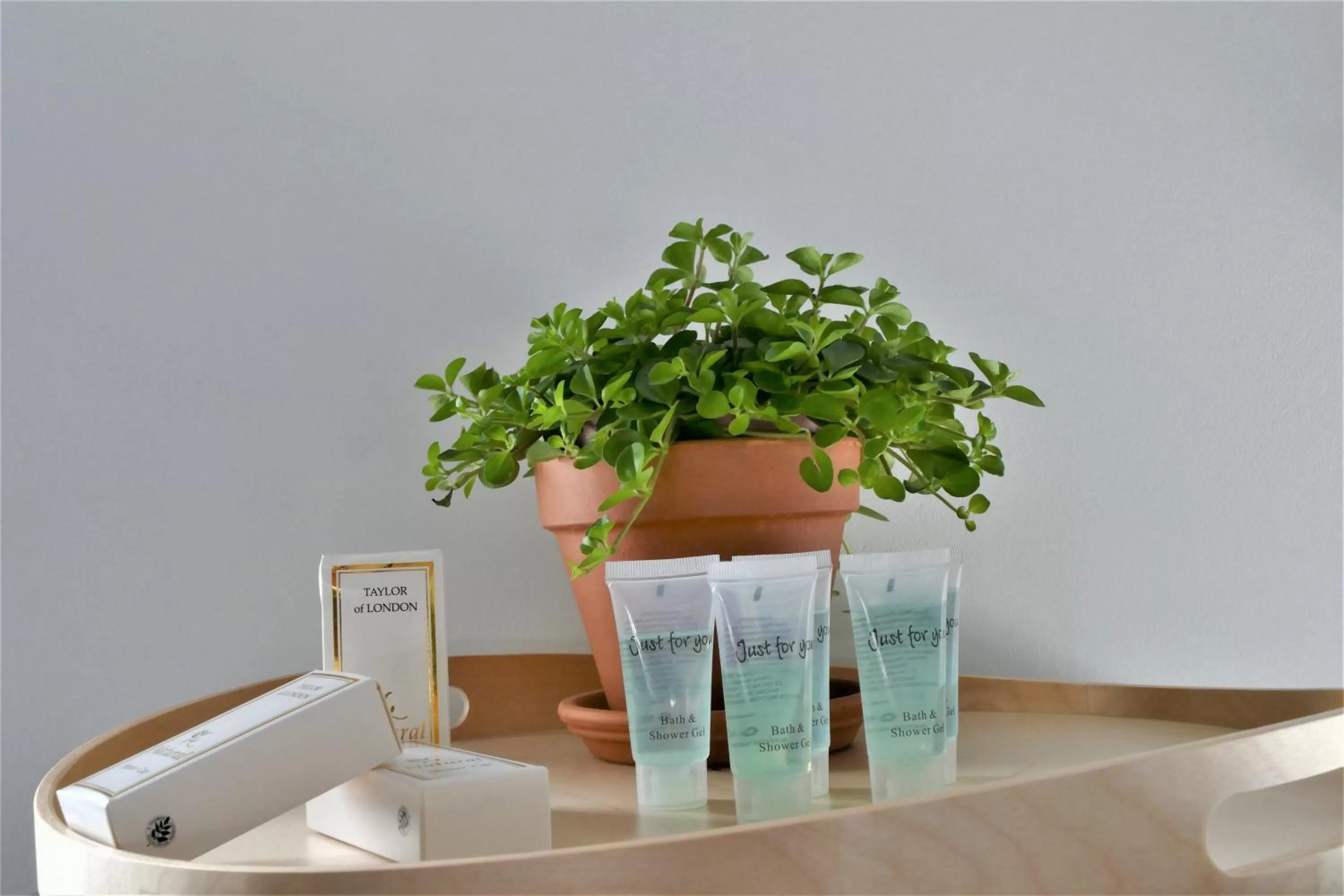 Decorative detail in Winston B&B