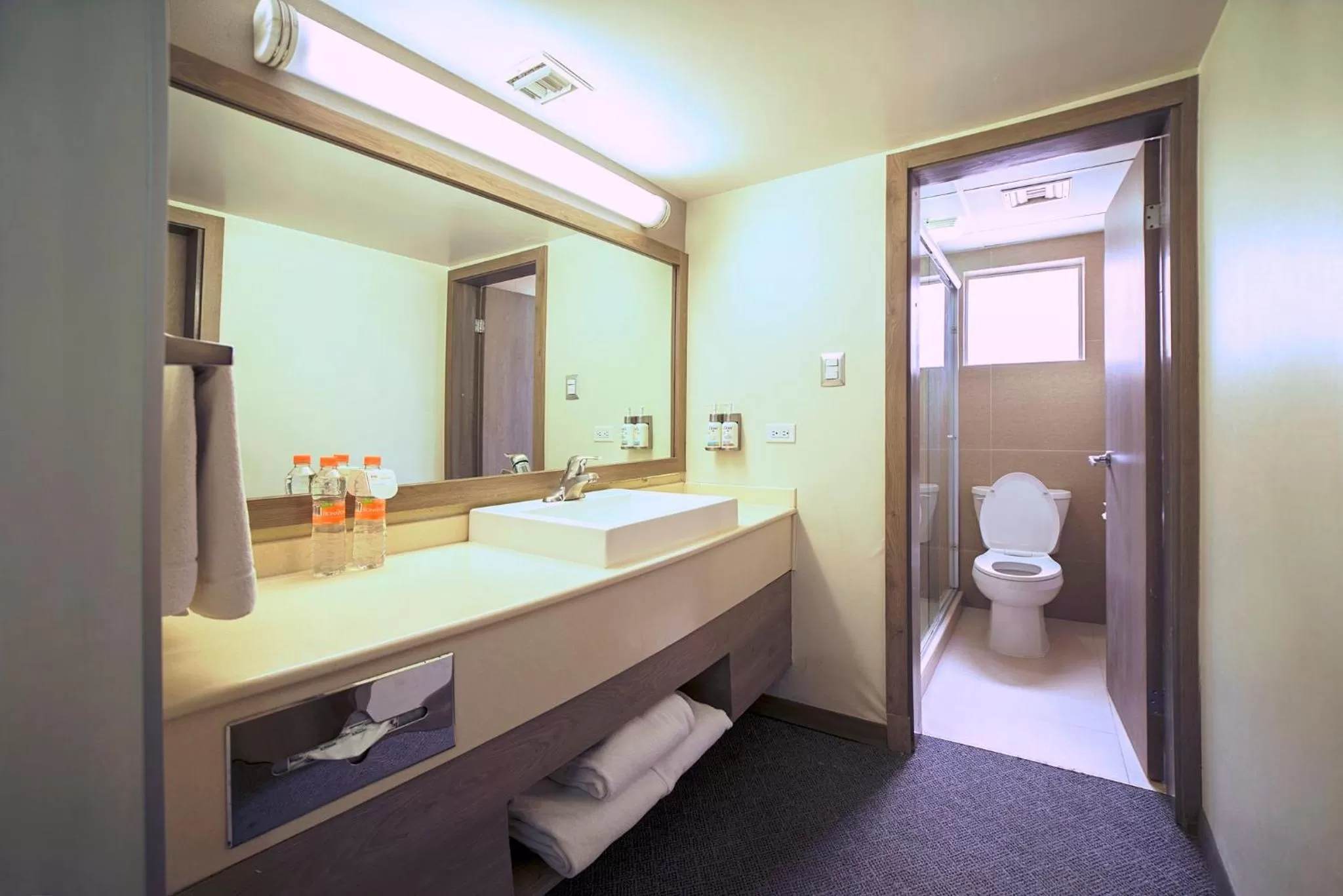 Bathroom in Holiday Inn & Suites Chihuahua Expo by IHG