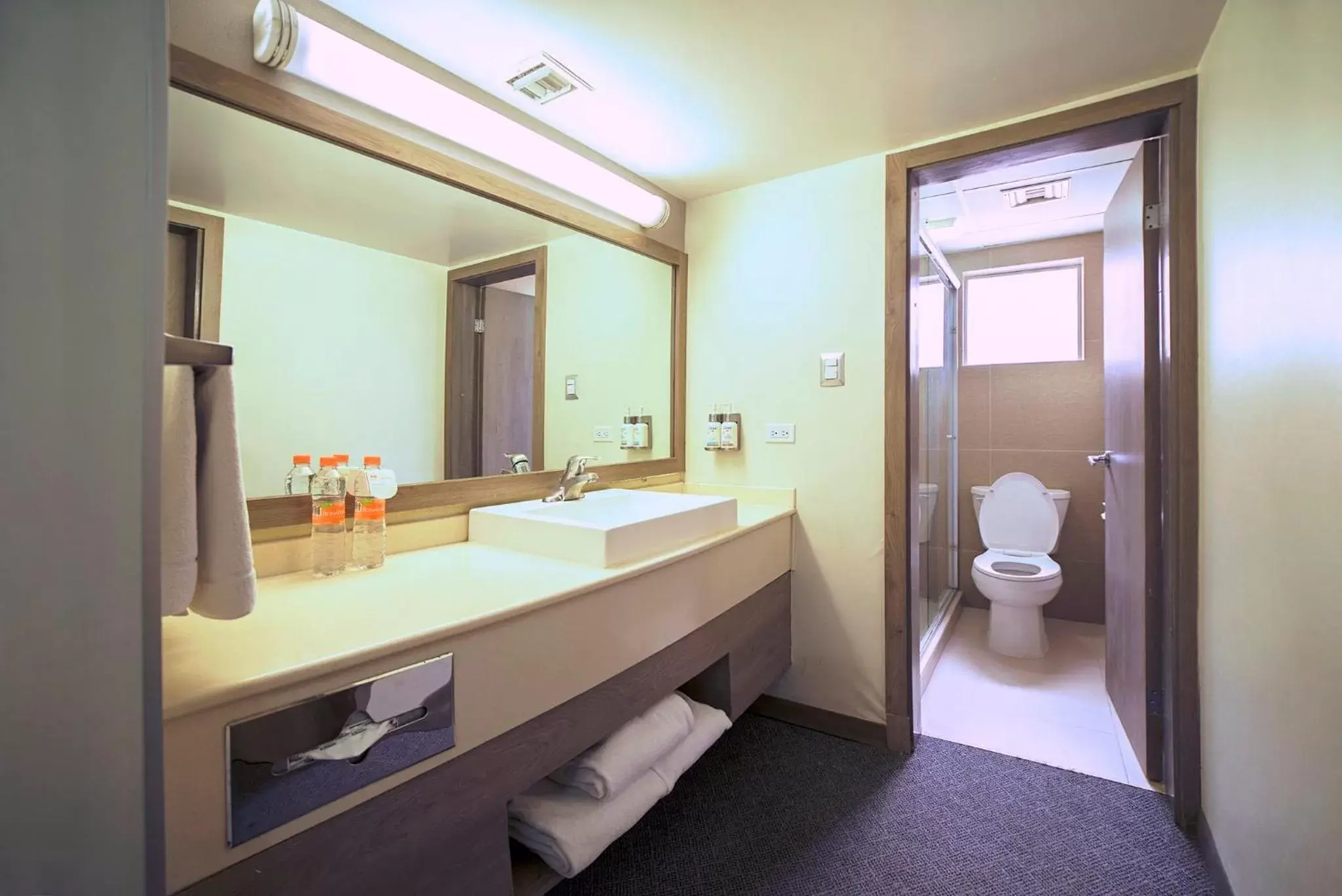 Bathroom in Holiday Inn Hotel & Suites Chihuahua, an IHG Hotel