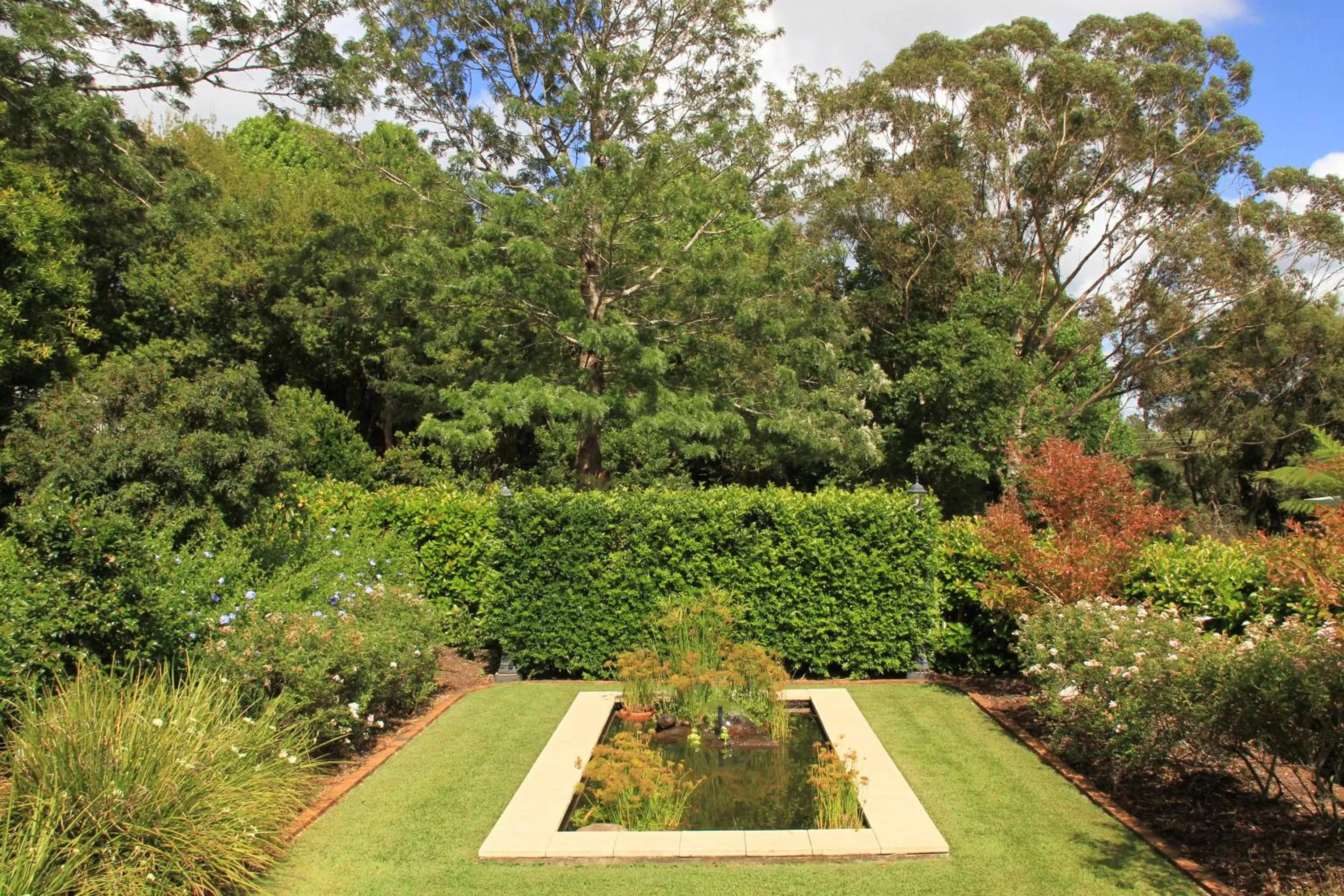 Garden in "Seasons of Maleny B&B"