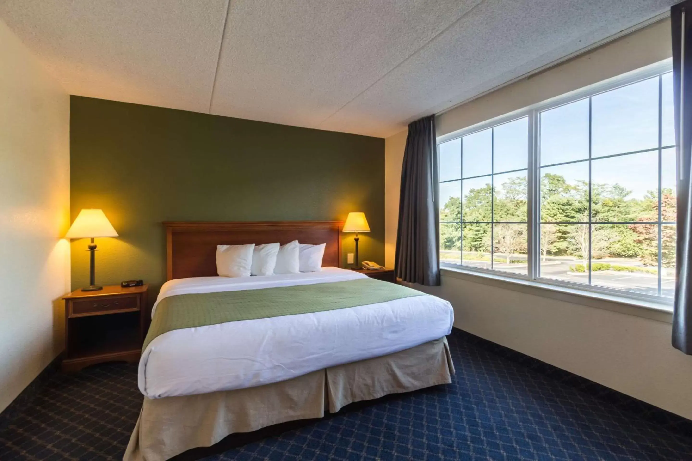 Photo of the whole room, Bed in Quality Inn & Suites Conference Center West Chester