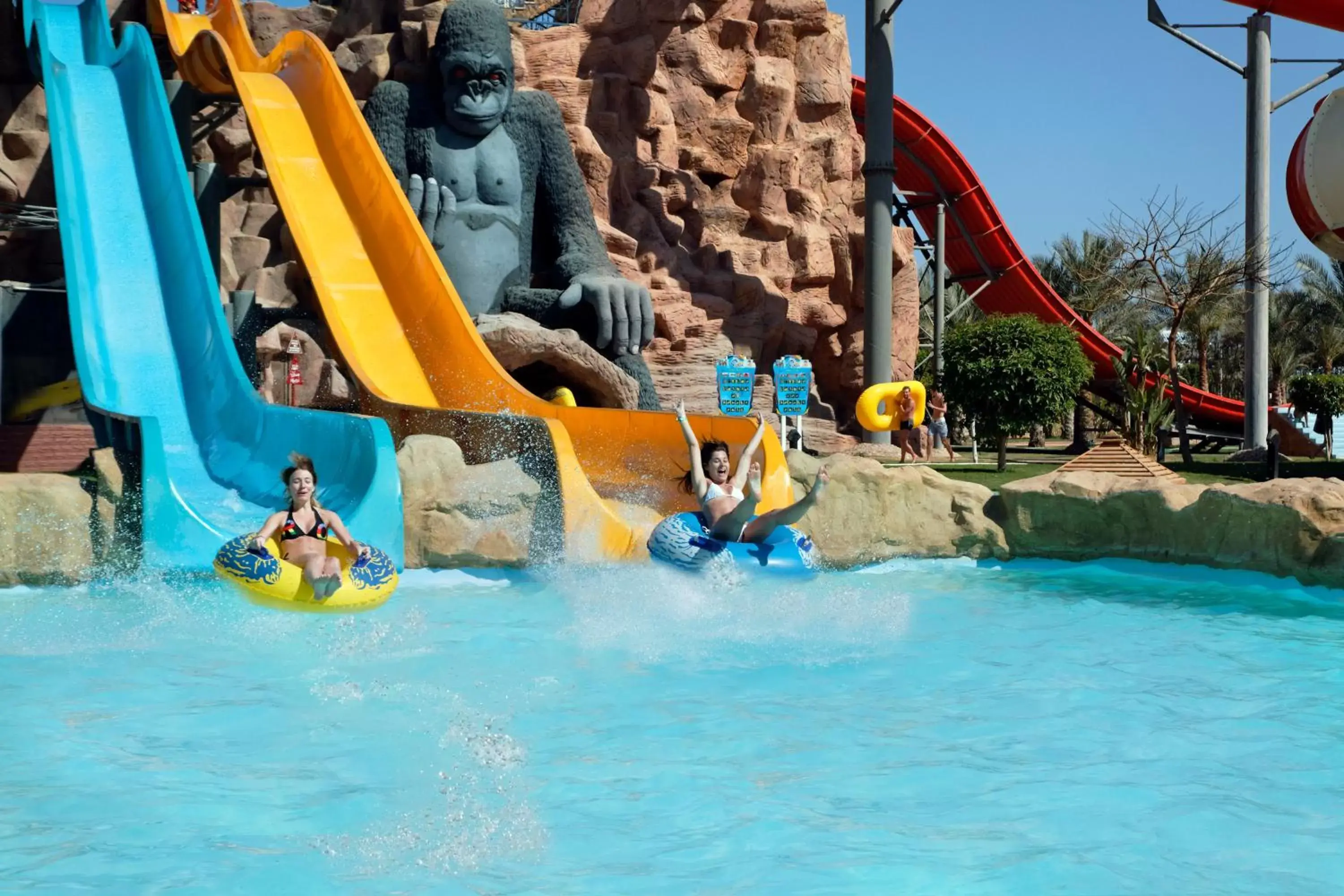 Aqua park, Water Park in Pickalbatros Aqua Blu Sharm El Sheikh