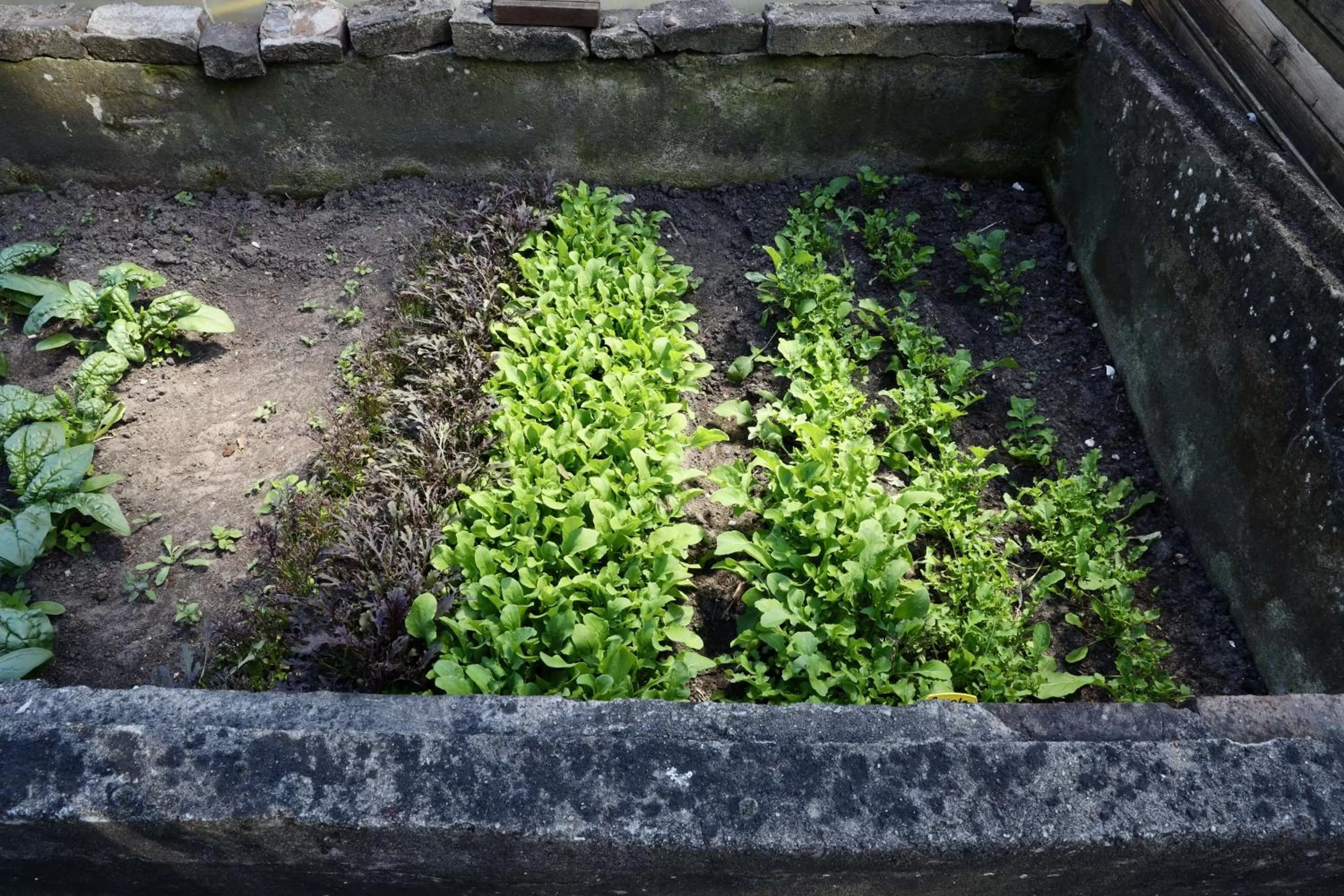 Garden in de Lochemse Berg