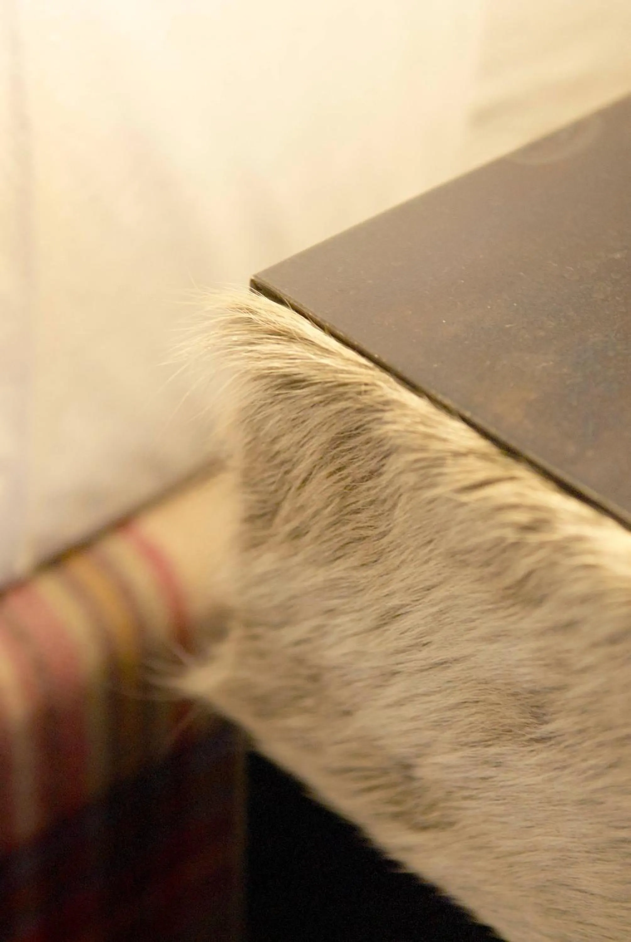 Decorative detail in Hotel Boutique Puig Francó