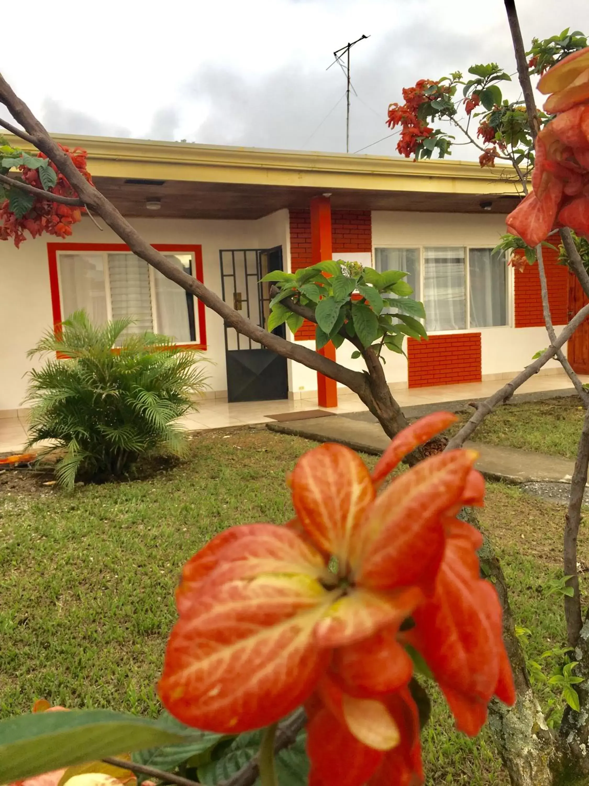 Garden, Patio/Outdoor Area in Hotel Your House