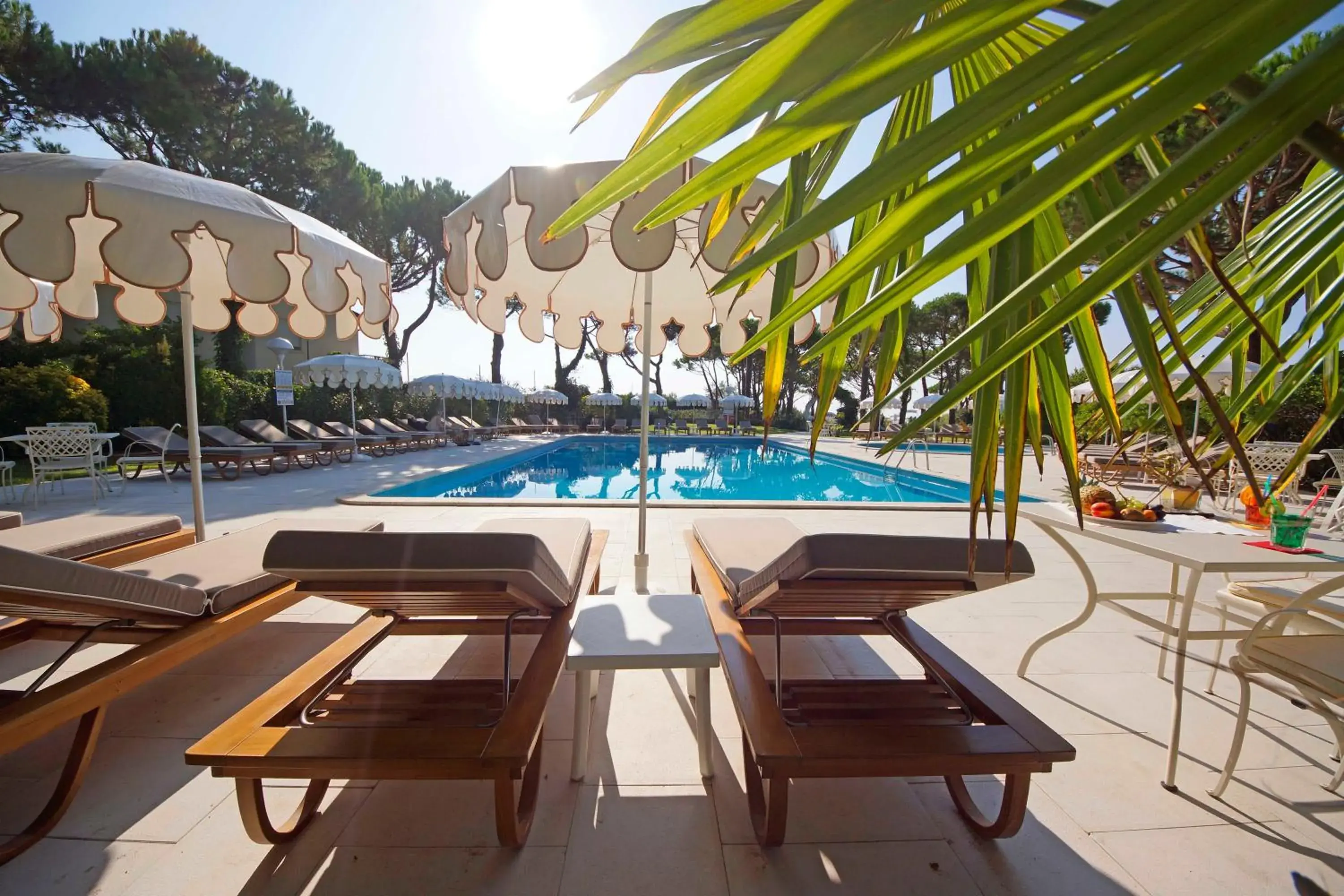 Garden view, Swimming Pool in Hotel Maracaibo