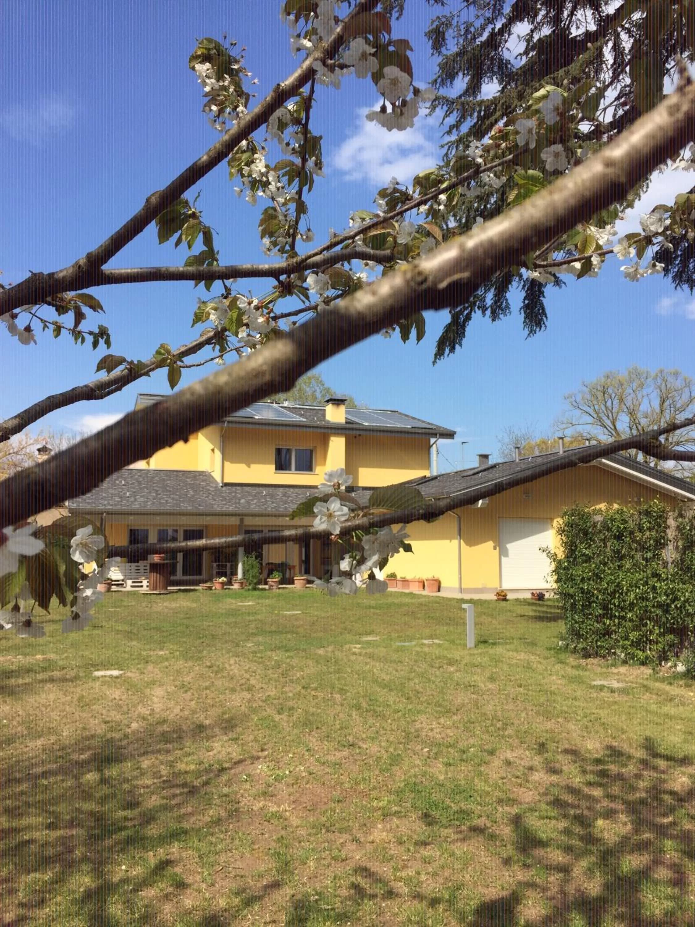 Property building in Pixel b&b