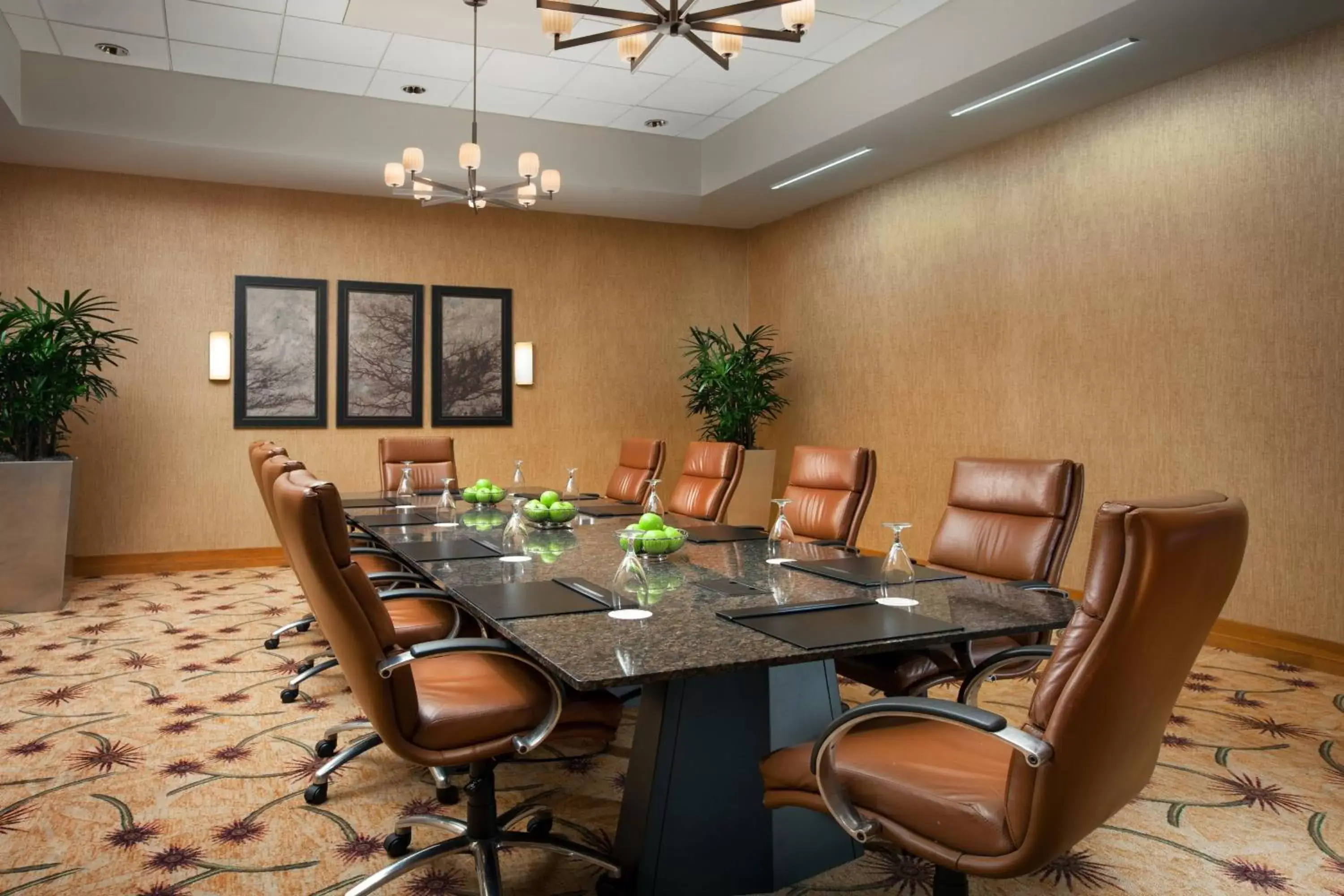 Meeting/conference room in The Westin Austin at The Domain