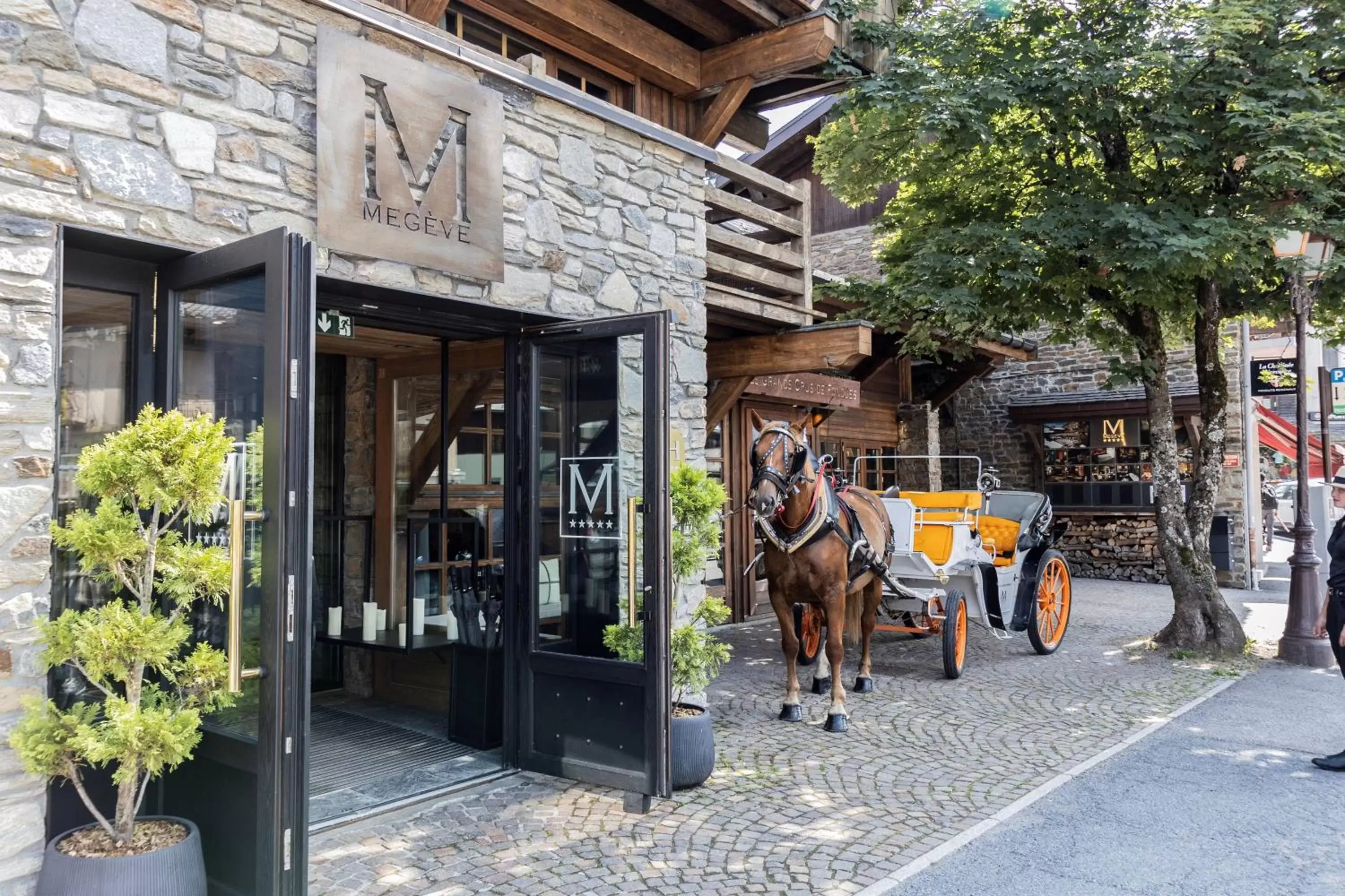 Facade/entrance in M de Megève