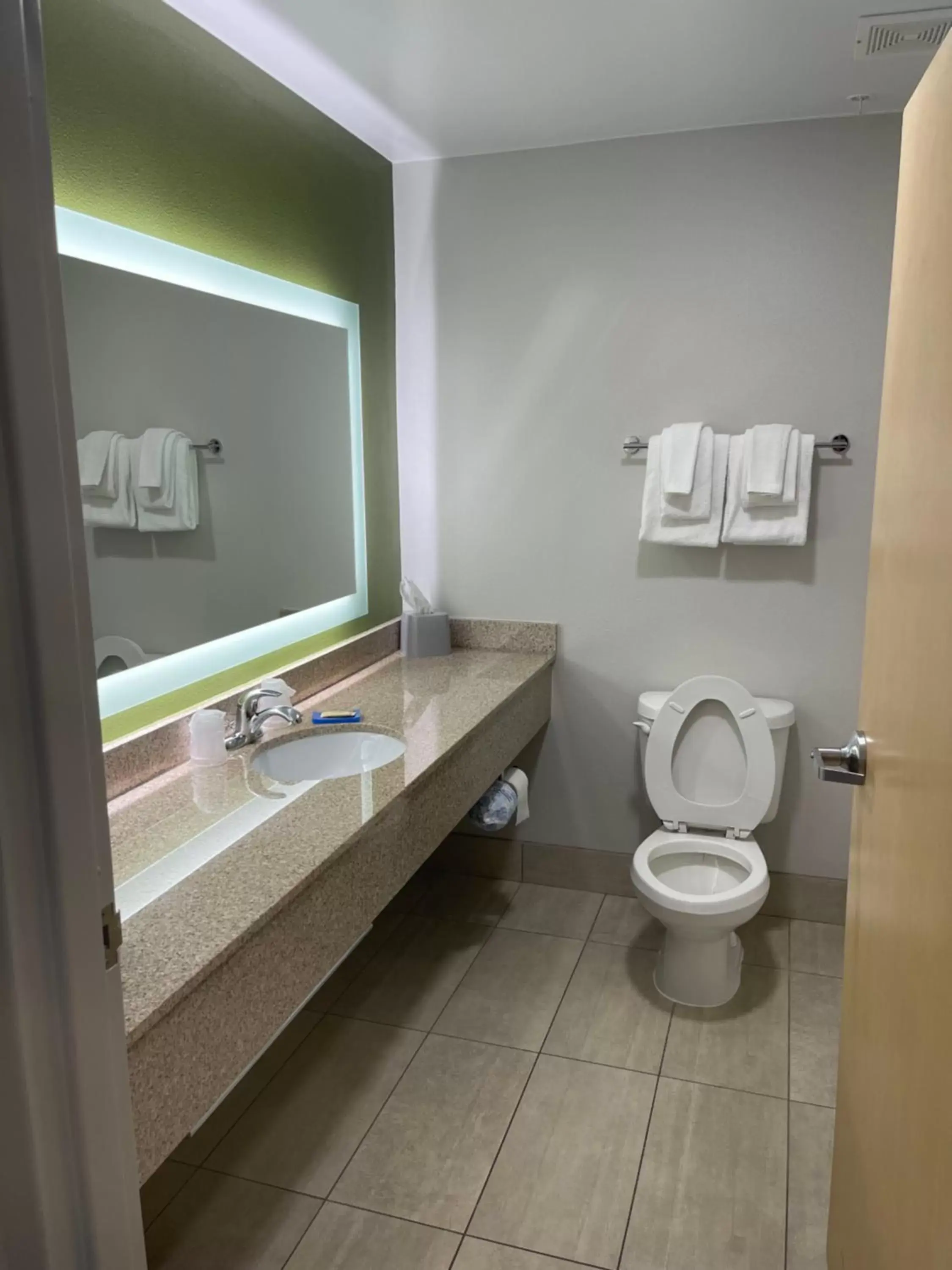 Bathroom in Holiday Inn Express Cedar Rapids - Collins Road, an IHG Hotel