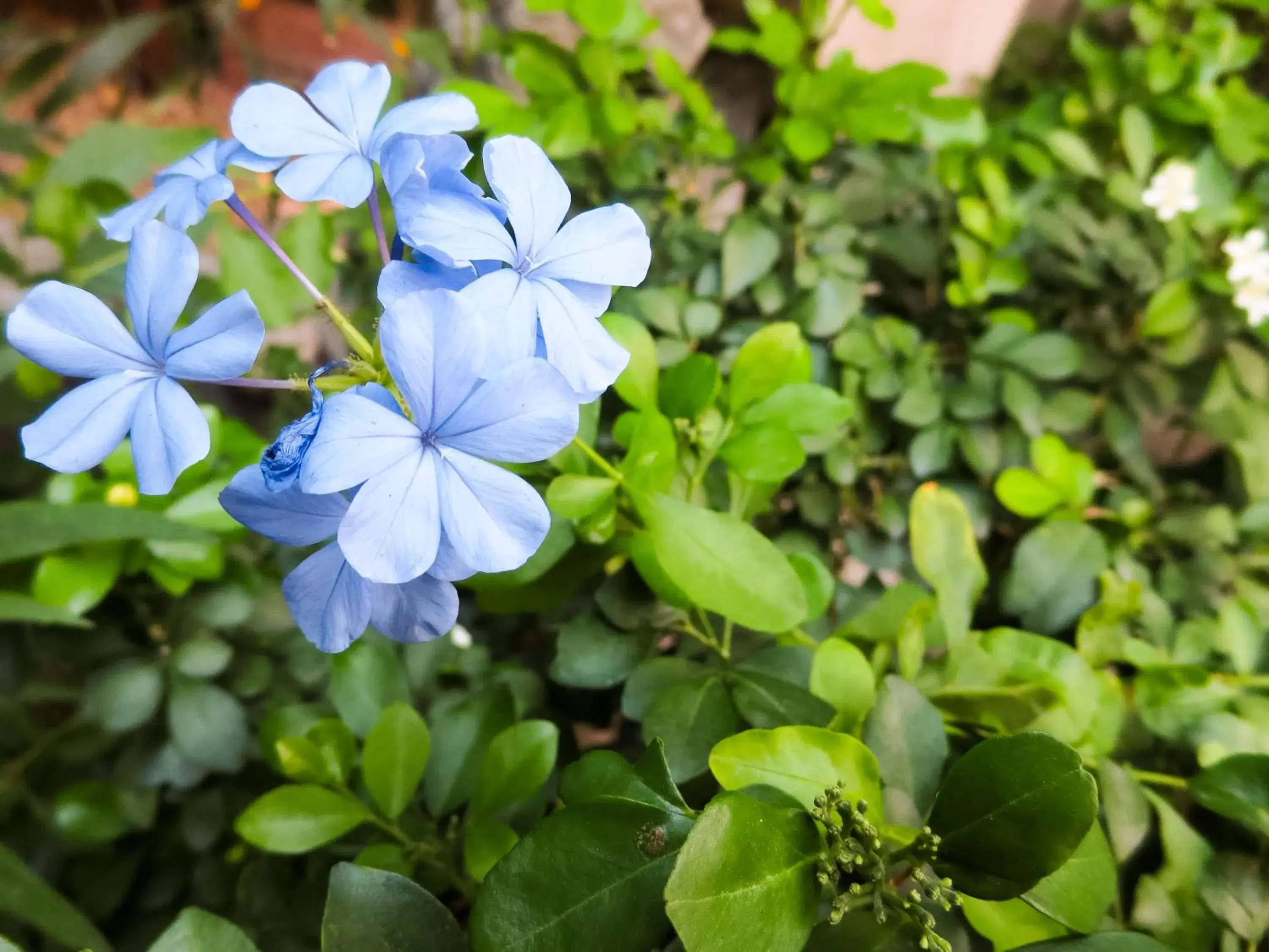 Property building in Baansilom Soi 3 Property building in Baansilom Soi 3