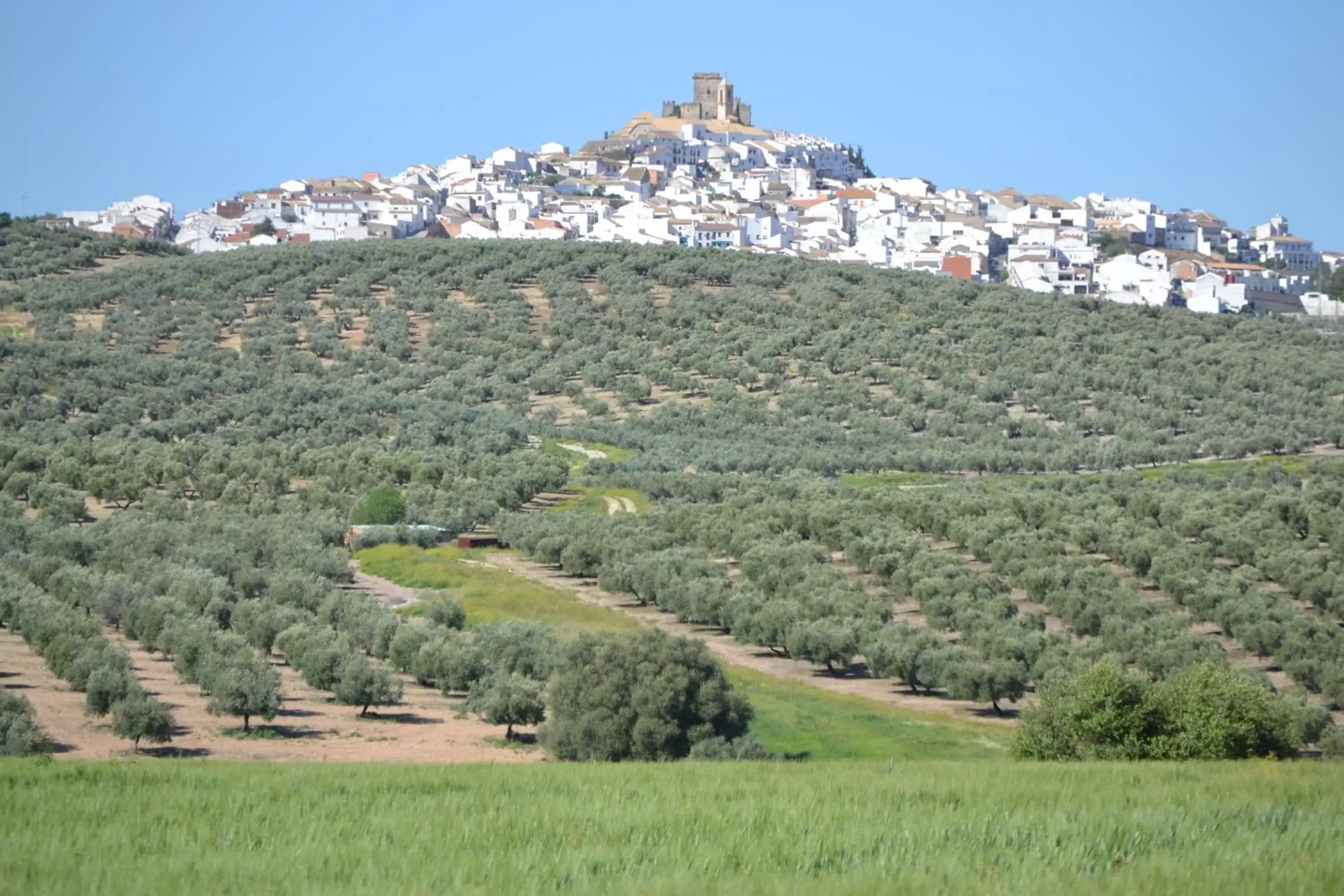 Natural landscape in Casa Almara