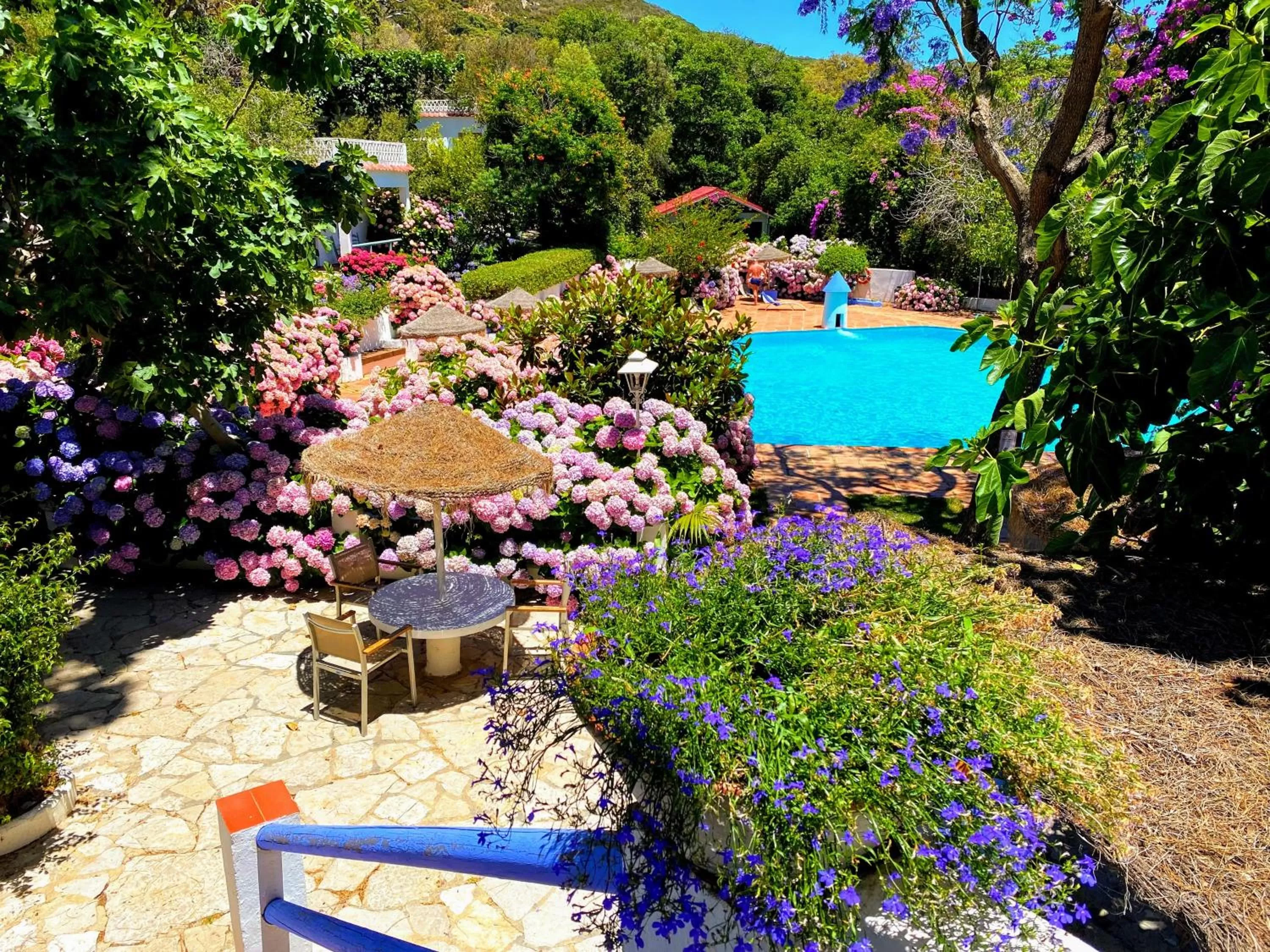 Swimming pool in Mesón de Sancho