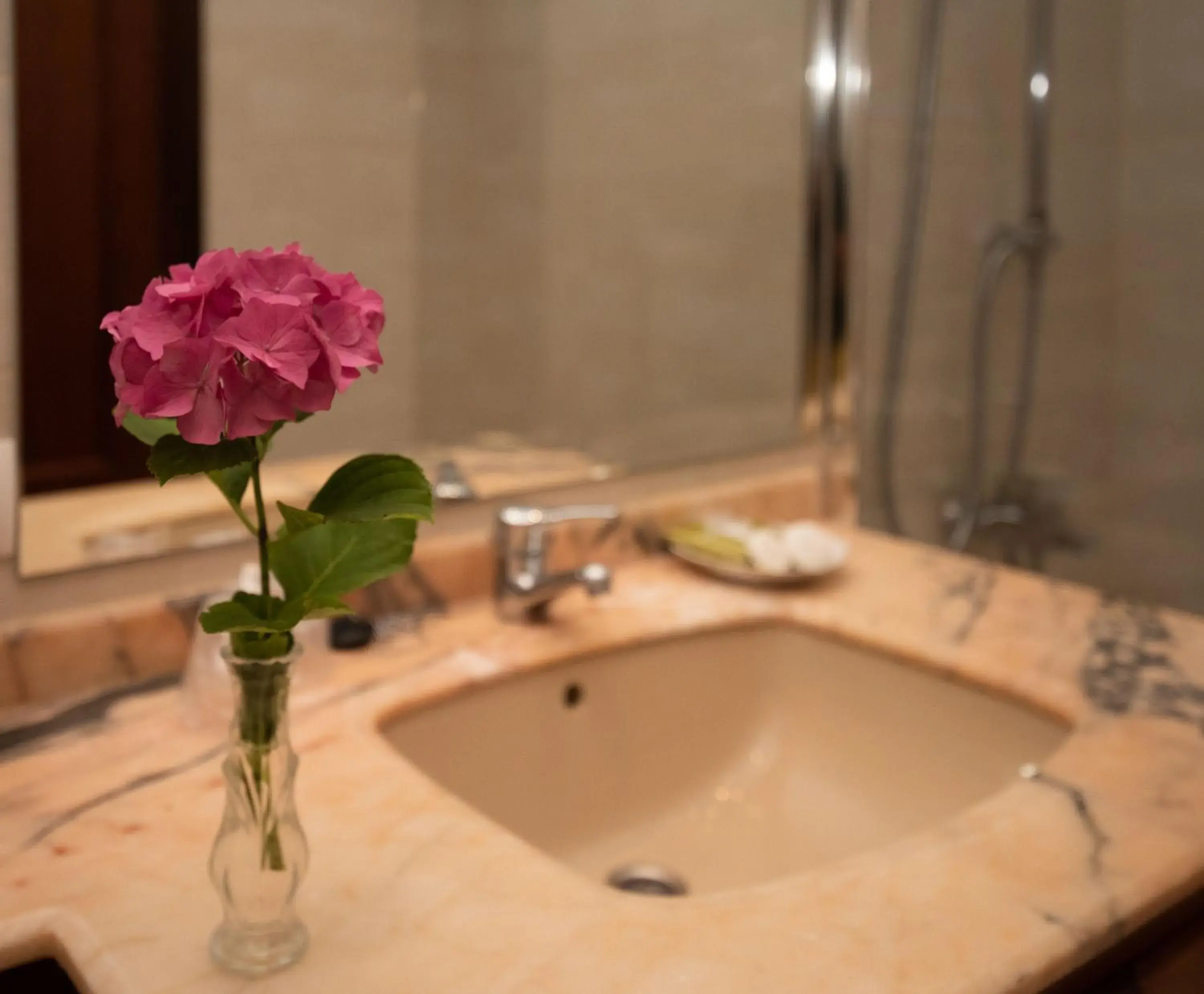 Shower, Bathroom in Hotel Sablón