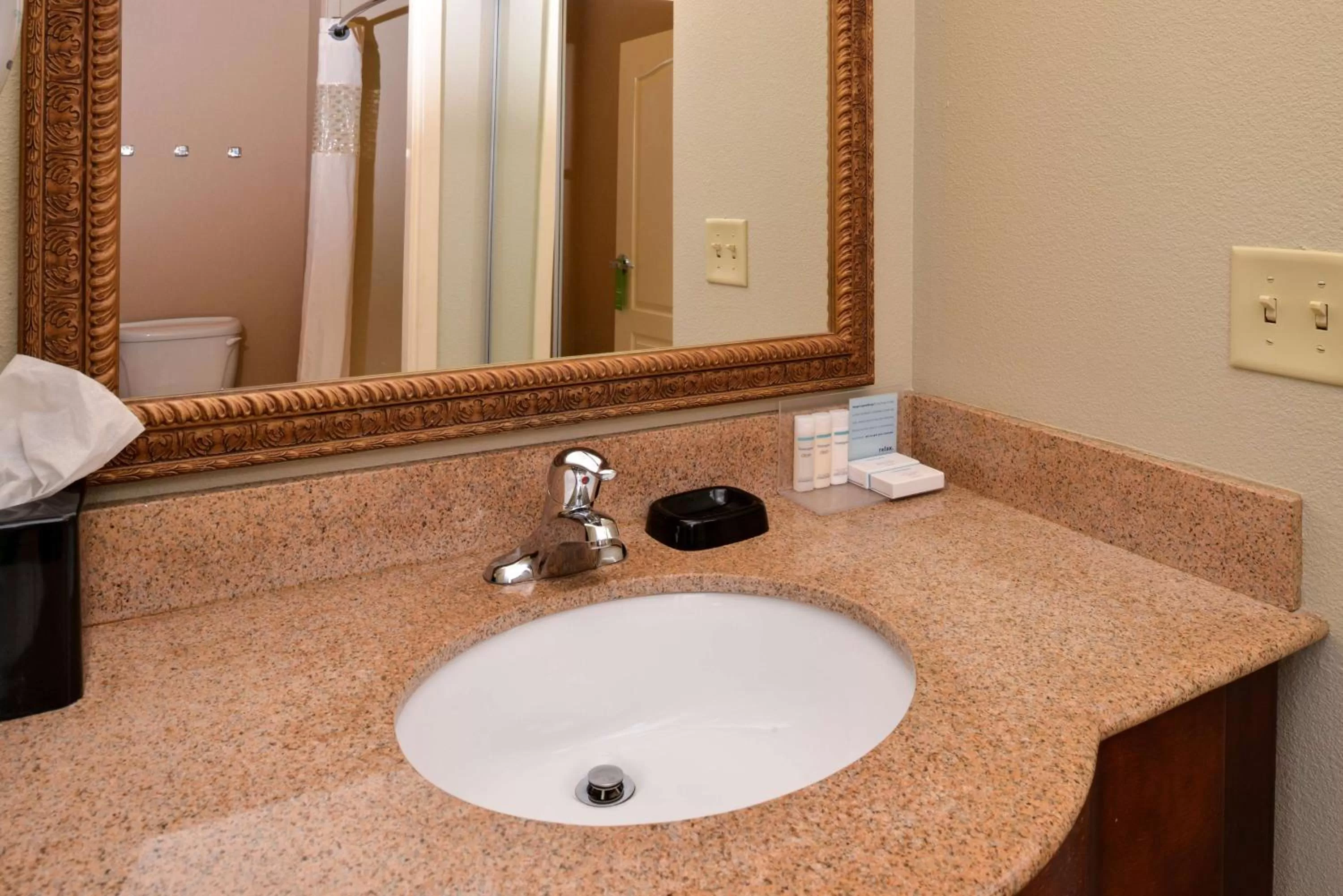 Bathroom in Hampton Inn by Hilton Litchfield