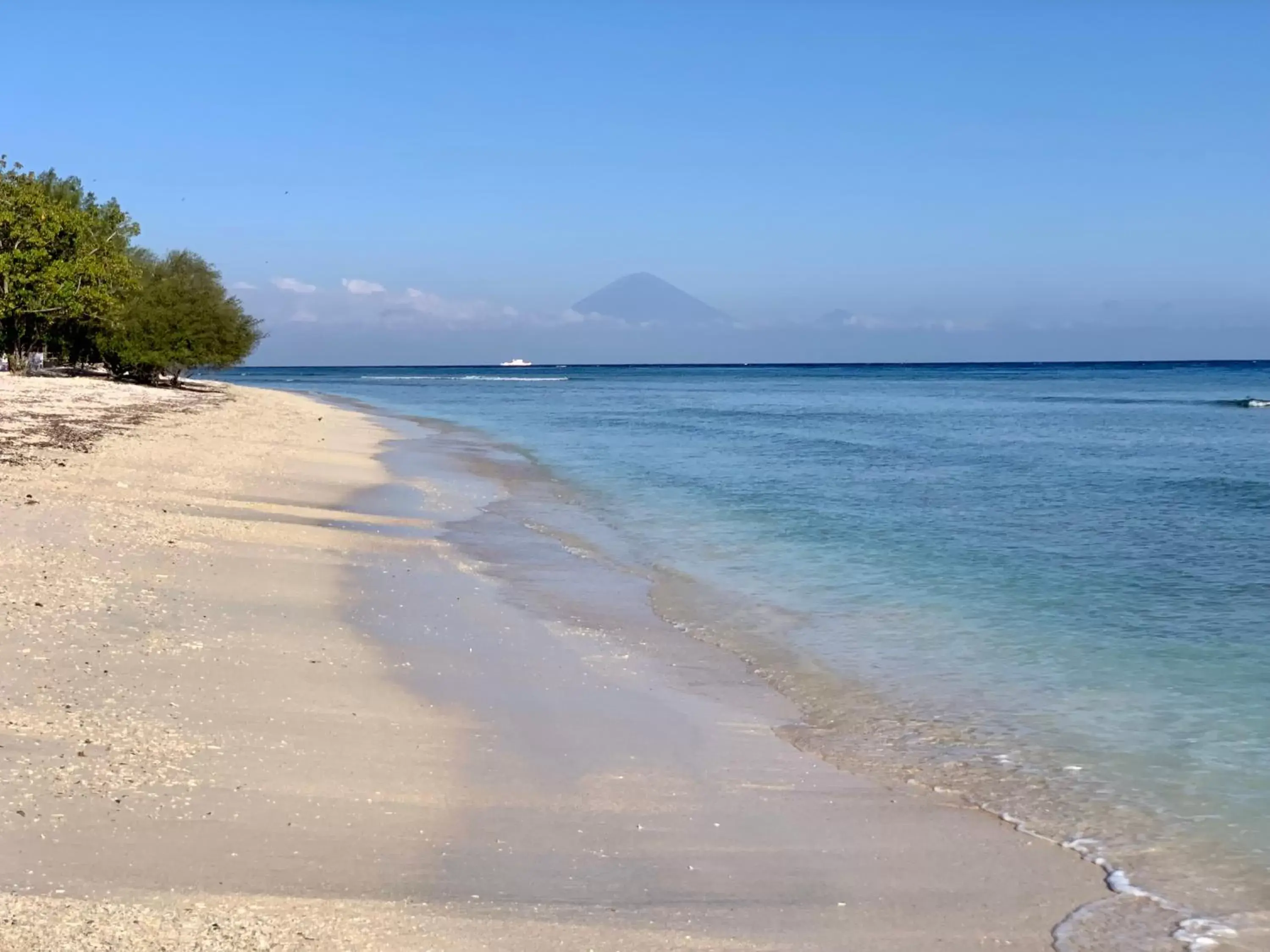 Beach in Wilson's Retreat