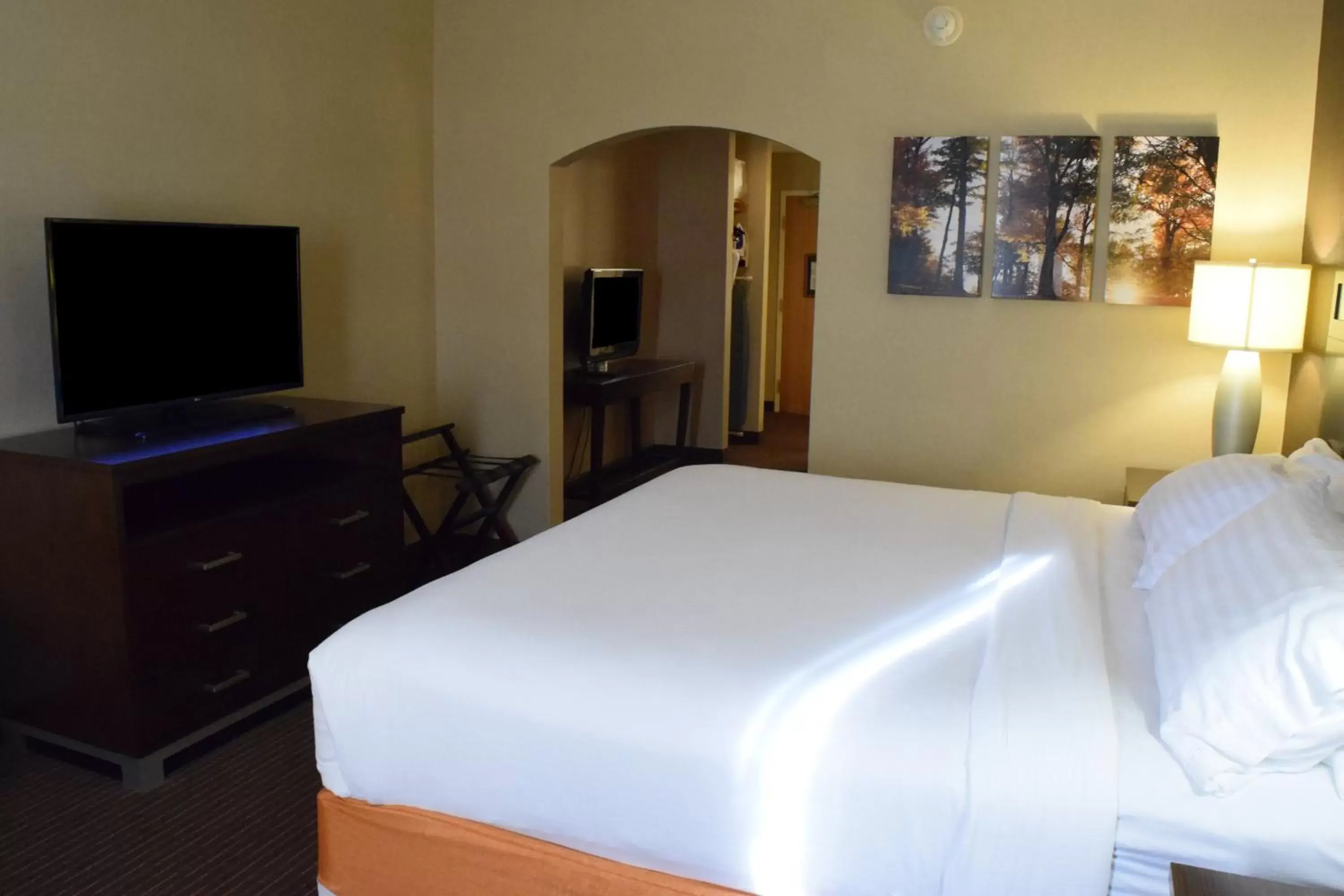 Photo of the whole room, Bed in Holiday Inn Express Hotel & Suites Watertown - Thousand Islands, an IHG Hotel