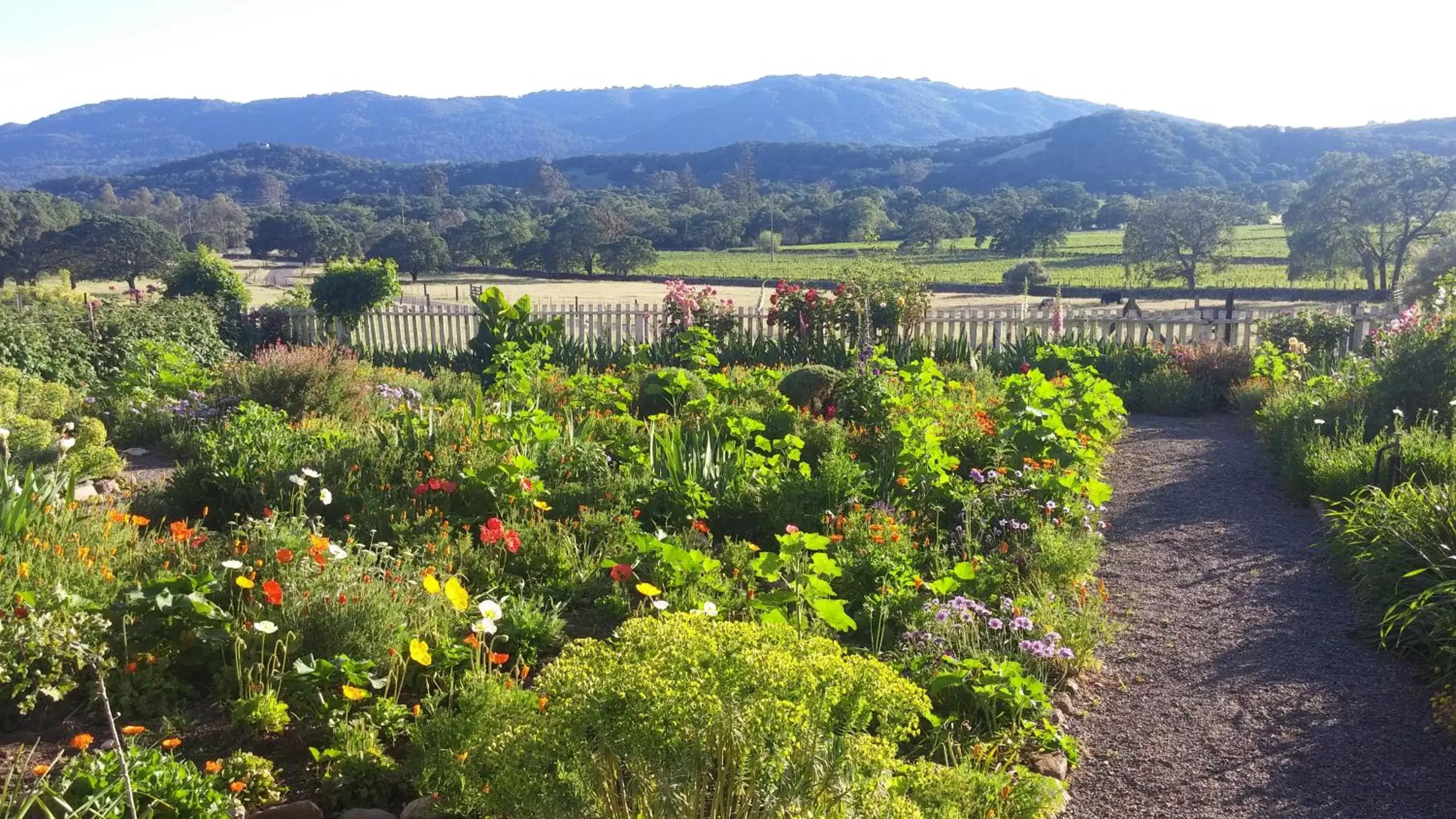 Garden, Mountain View in Beltane Ranch